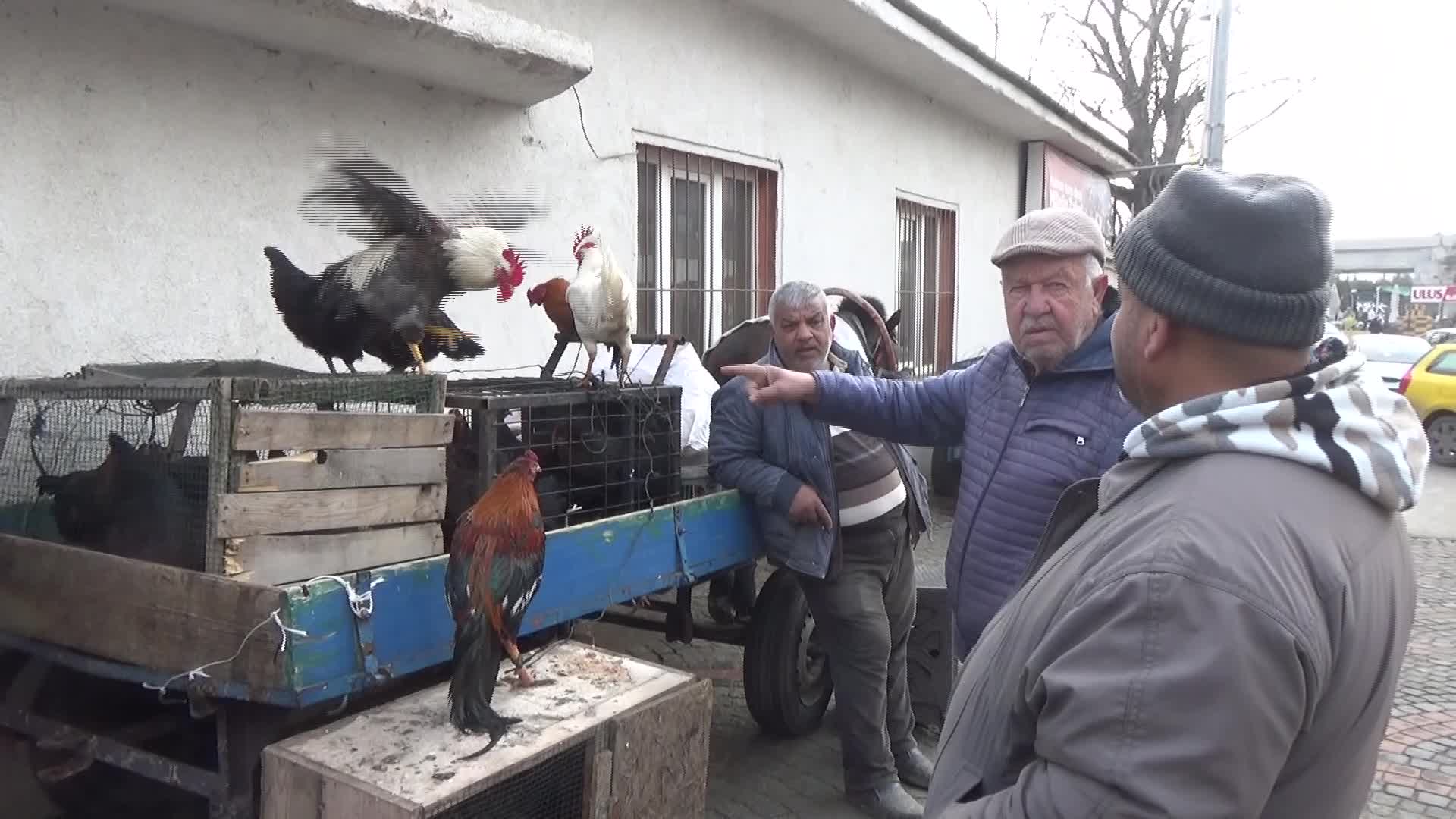Edirne’de esnaf, pahalı olması nedeniyle hindi yerine horoz satıyor