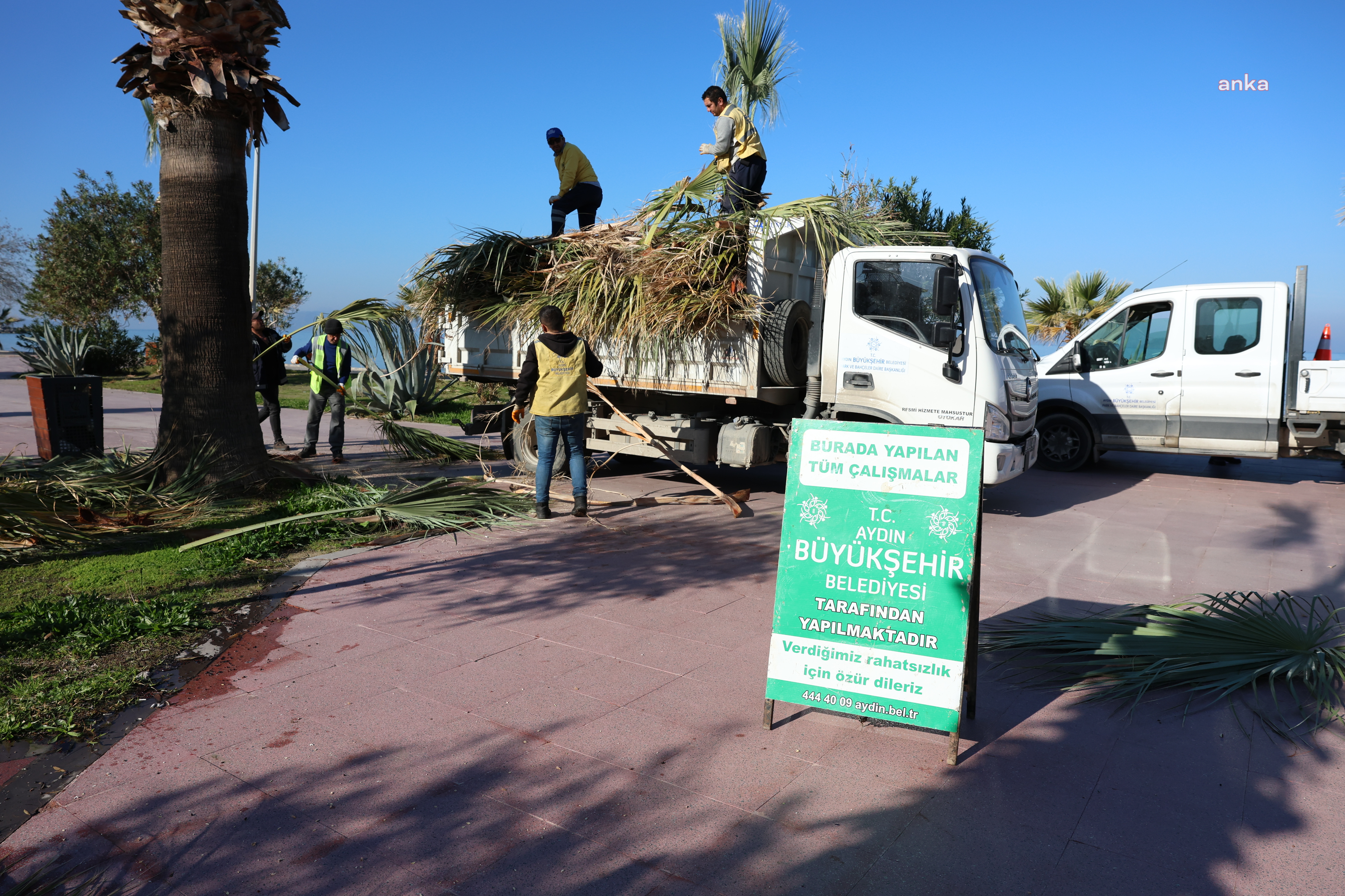 Aydın Büyükşehir Belediyesi Park ve Bahçeler Dairesi Başkanlığı ekiplerinden Kuşadası’nda çalışma