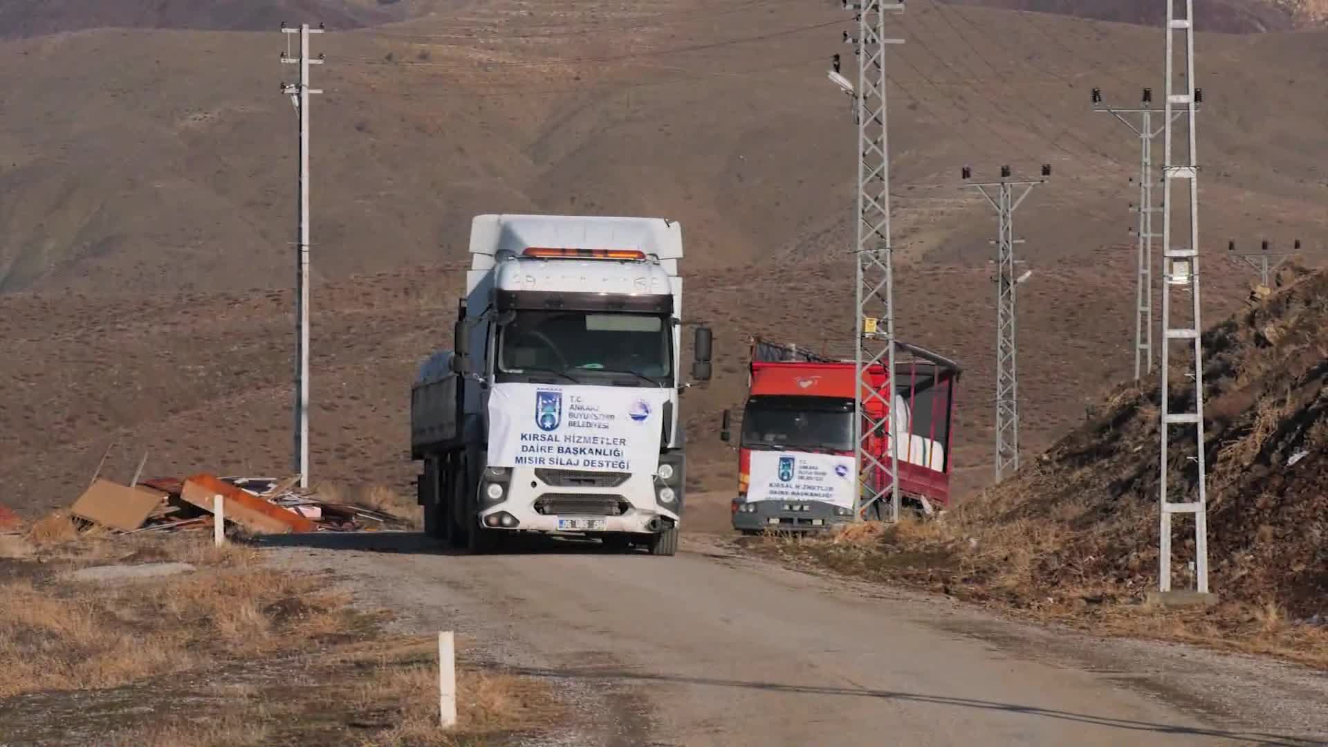 Ankara Büyükşehir Belediyesi'nin yüzde 50 hibeli silajlık mısır desteği başladı