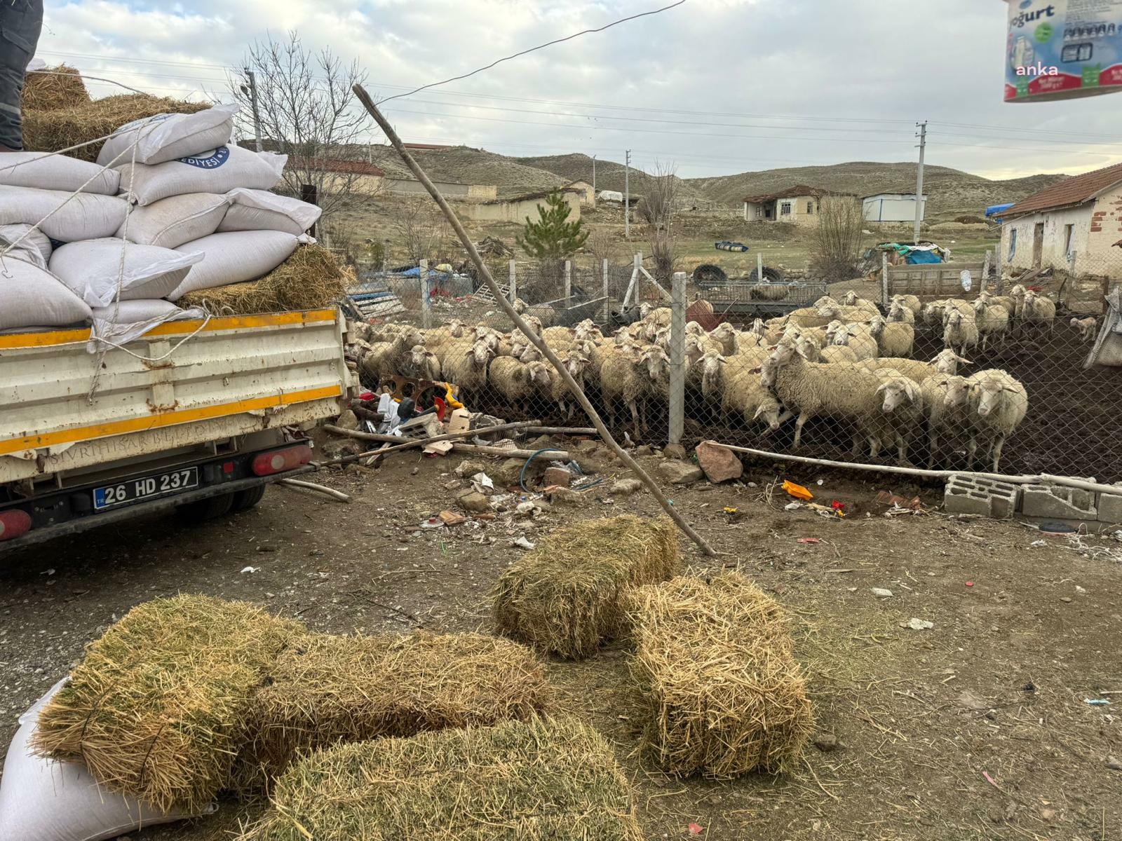 Eskişehir Büyükşehir’den Sivrihisar’da hayvan üreticilerine yem desteği