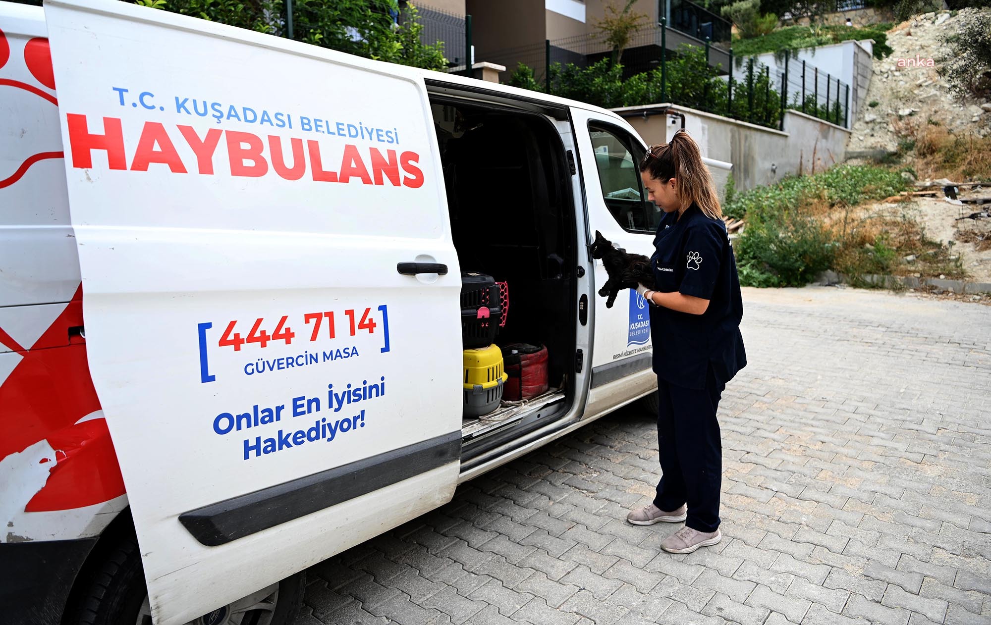 Kuşadası Belediyesi'nin Haybulans araçları 2024 yılında 21 bin 127 can dosta umut oldu