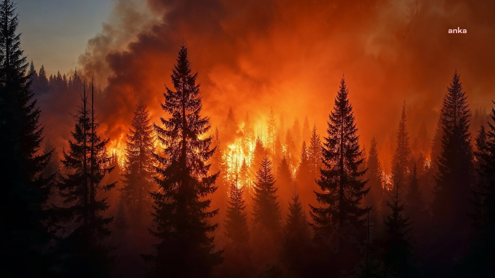 Los Angeles’ta orman yangını... Binlerce kişi tahliye edildi