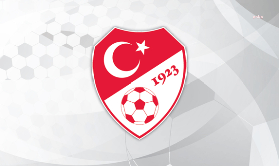 Türkiye Futbol Federasyonu:  Süper Lig'in ikinci yarısında geçici süreyle yabancı VAR hakemleri görev alacak