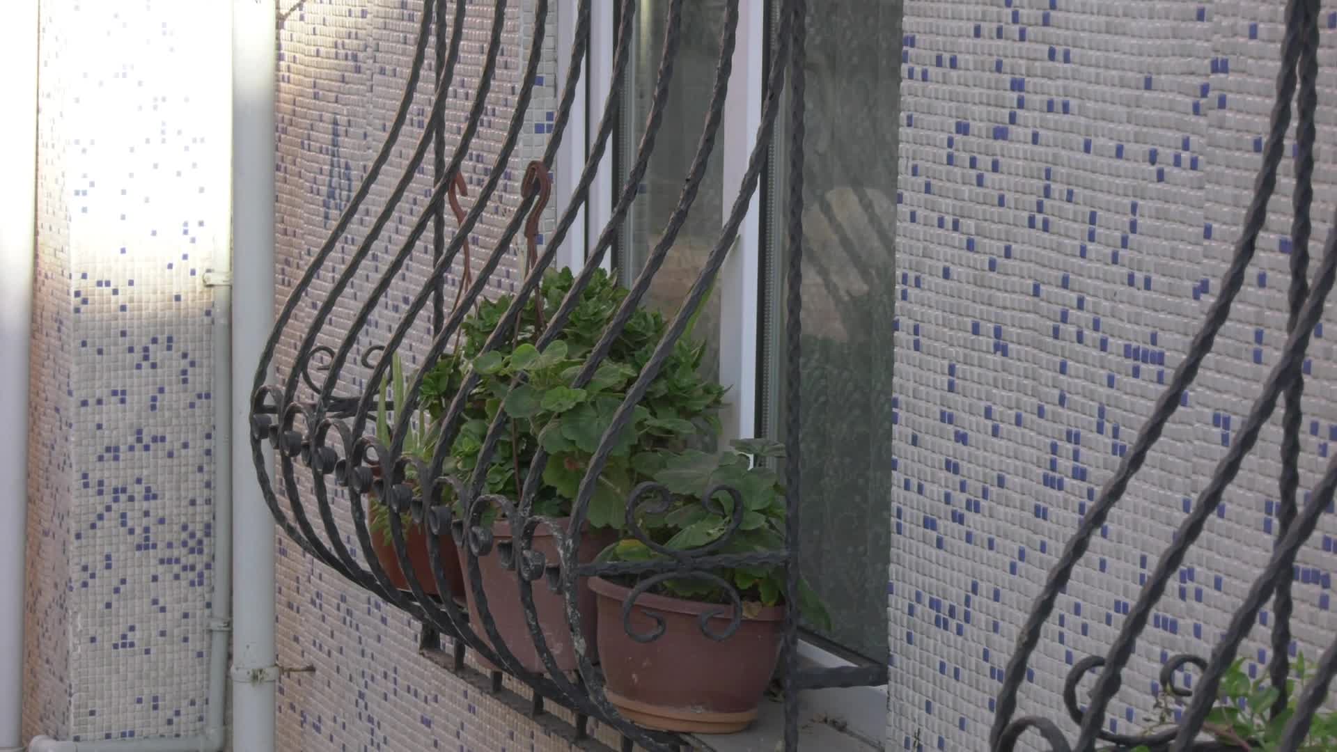 Naime teyze evinin kapısını ANKA'ya açtı: Evimi geçindiriyordum... 14 bin lira kirayı nasıl vereceğim? Bir sene okula gönderdiler, keşke okutsalardı...