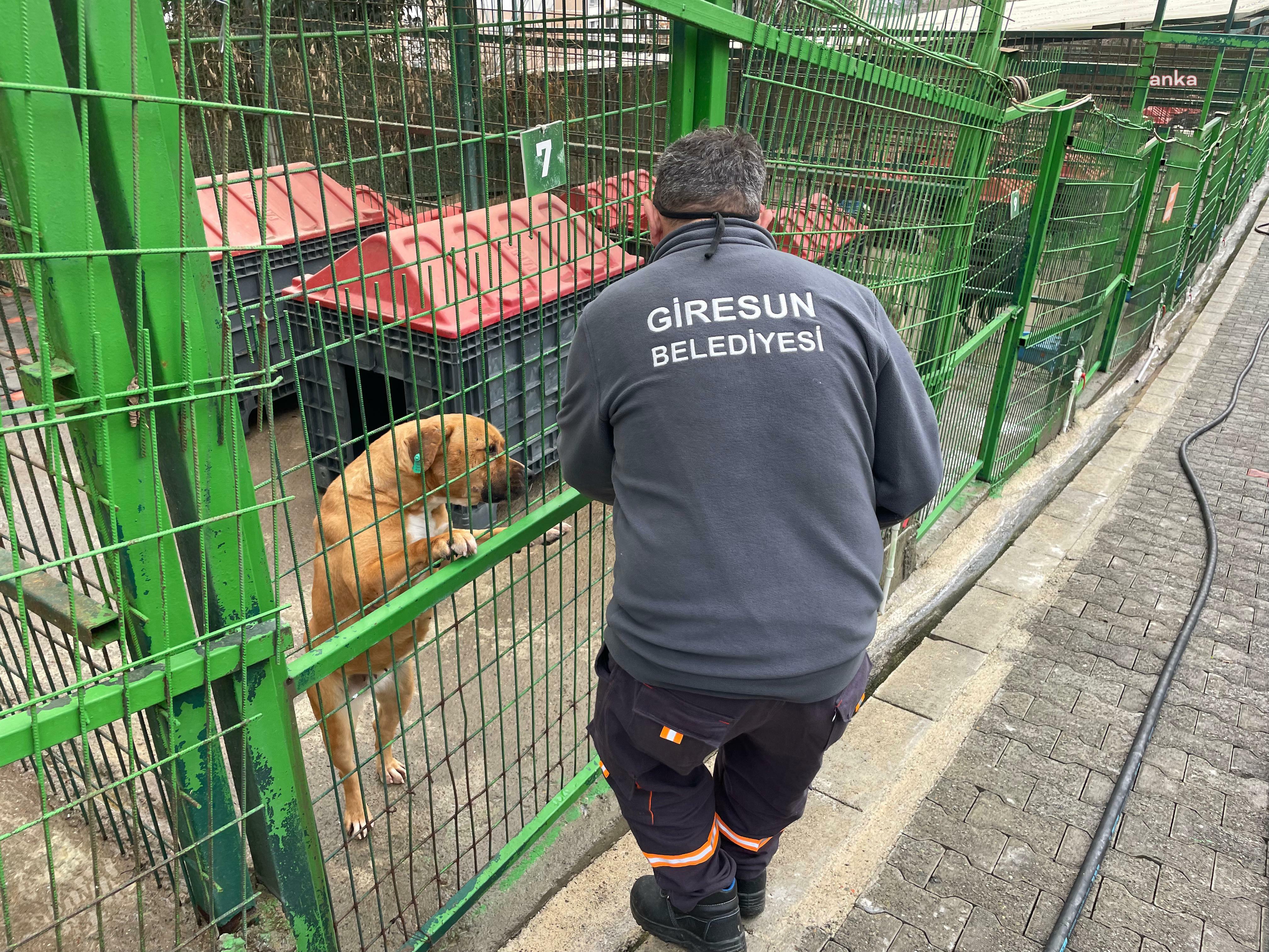 Giresun Belediyesi Mama Üretim Merkezi, kapasitesini 5 kat arttırdı