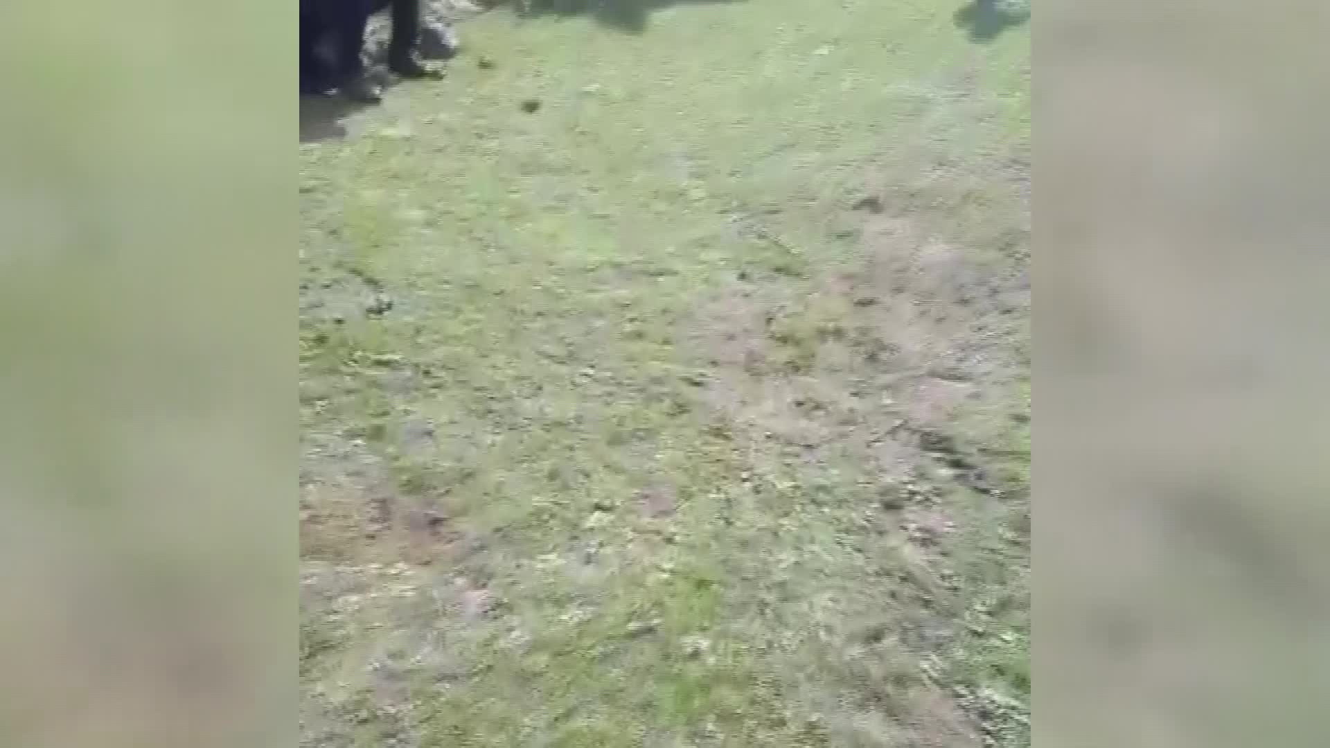 KAÇAK GİREN MÜLTECİLERİ VATANDAŞLAR GÖRÜNTÜLEDİ