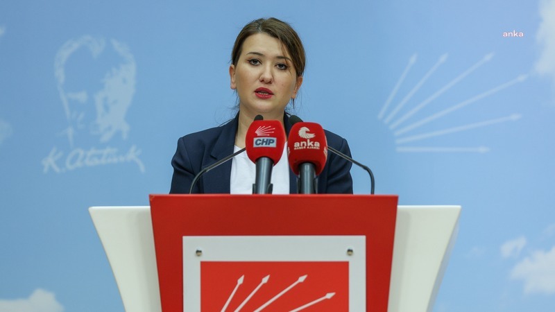 Gökçe Gökçen: "Bakanlık hariç herkes cezalandırılabilir, hatta yangını söndürenler bile"