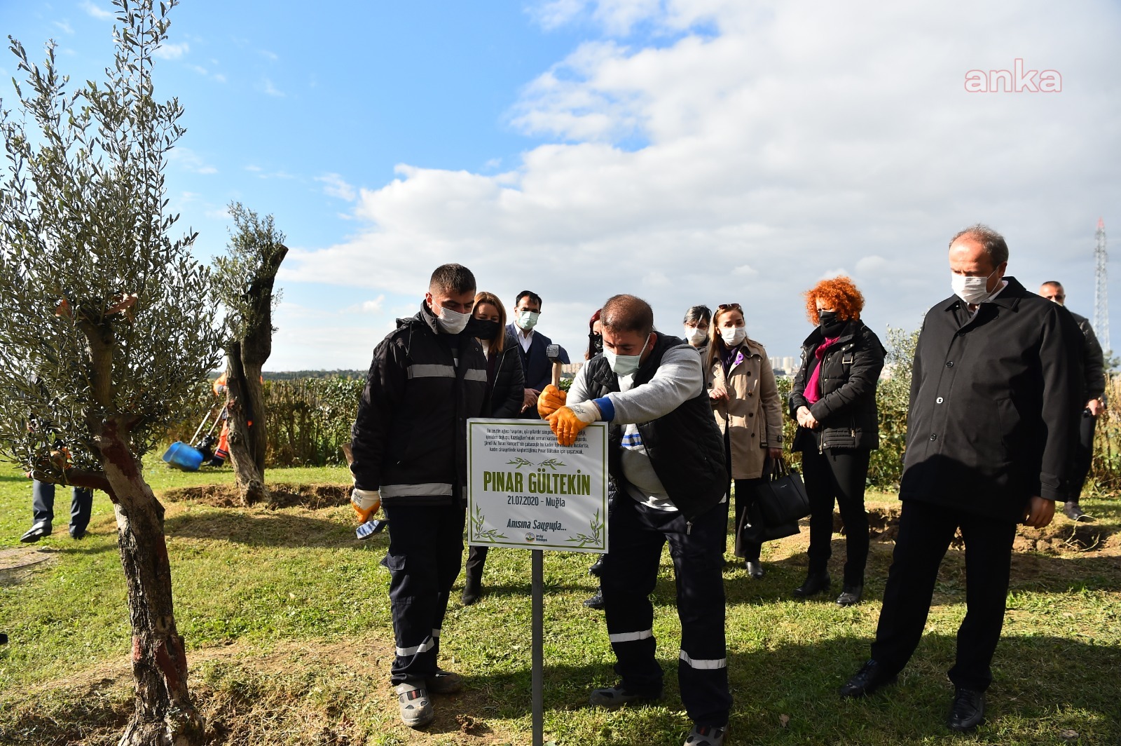 ÖLDÜRÜLEN KADINLAR, AVCILAR’DAKİ ZEYTİN AĞAÇLARINDA YAŞAYACAK