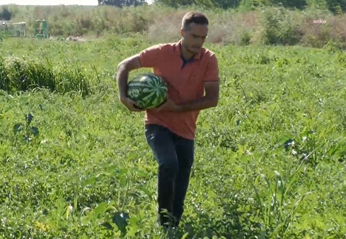 “Bugün çiftçinin anası ağlıyor” diyen çiftçi hakkında “Cumhurbaşkanına hakaret” suçlamasıyla dava açıldı
