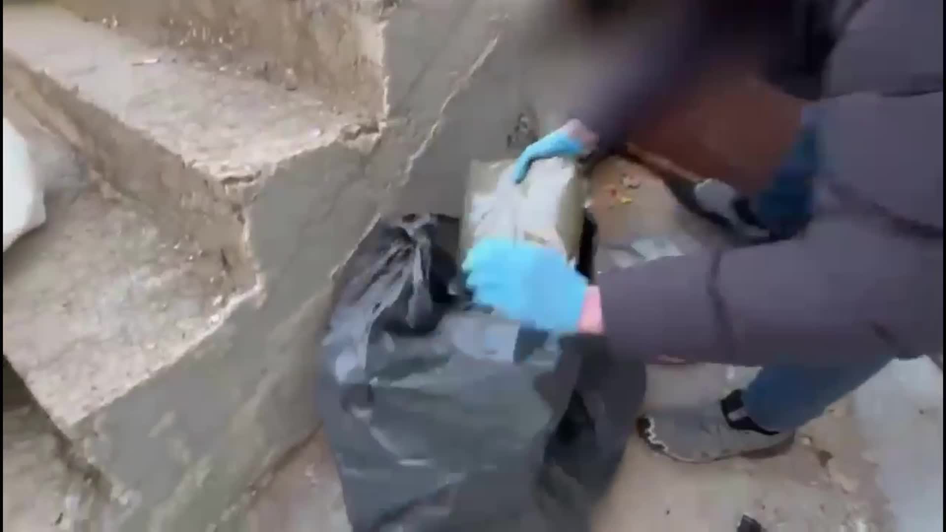 İzmir'de uyuşturucu operasyonu: 102 kilo 500 gram bonzai ele geçirildi