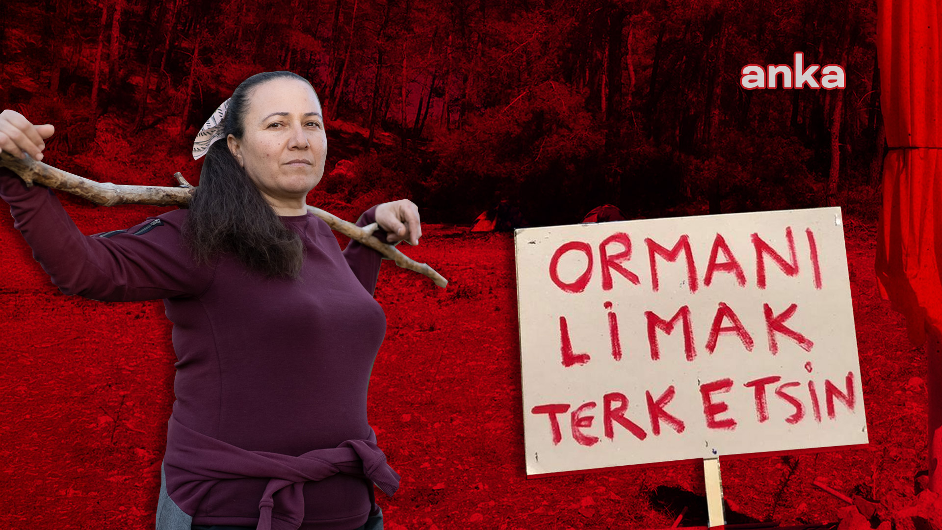 Çevre mücadelesinde kadınlar... Akbelen savunucusu Nejla Işık: "Kadınların birlikte mücadele etmekten başka çıkış yolu yok"
