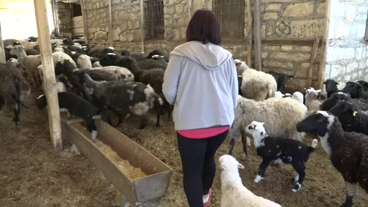 8 Mart Dünya Emekçi Kadınlar Günü...Küçükbaş hayvan yetiştiricisi Gülnaz Alp: "Köydeki hiçbir kadını hatırlayan yok. Aslında bizim hatırlanmamız gerekir"