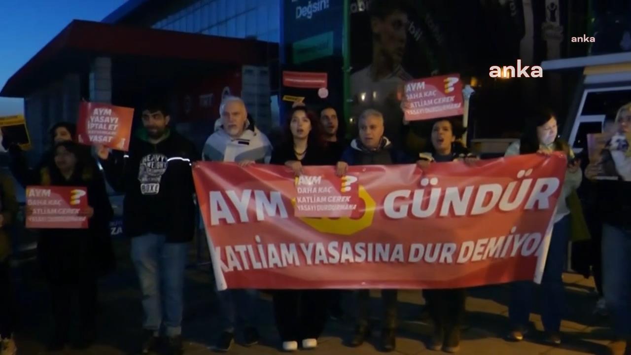 İstanbul Barosu Hayvan Hakları Merkezi: "Rana'nın başına gelenlerle ilgili nitelikli ve gerekli soruşturma adımlarının atılmadığını görmekteyiz"