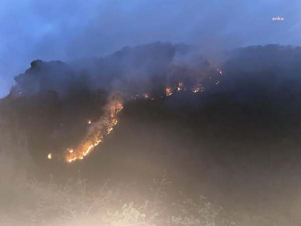 Giresun’daki orman yangını kontrol altına alındı