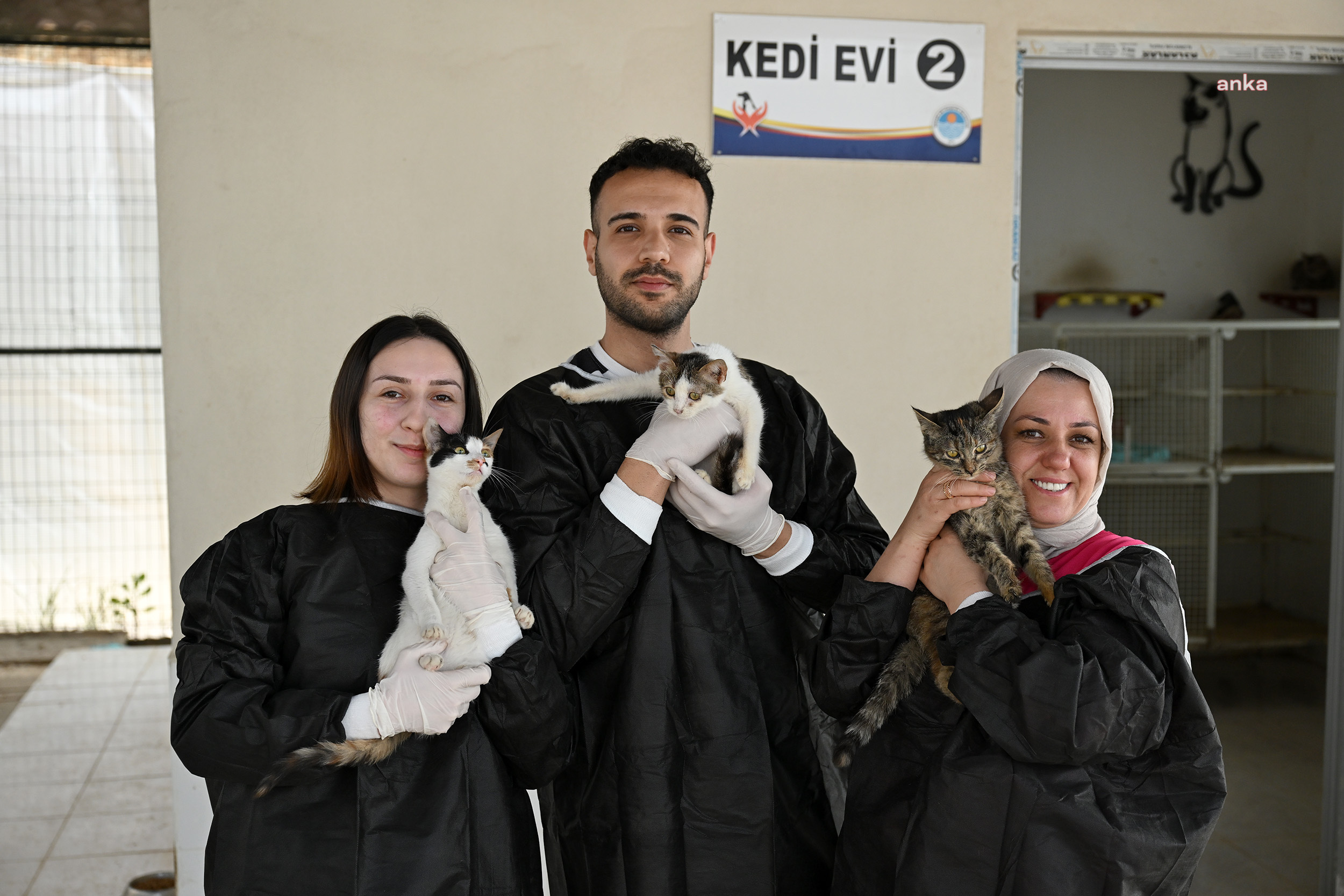 Mersin Büyükşehir Belediyesi ve gönüllüler, patili dostlar için iş birliği yapıyor