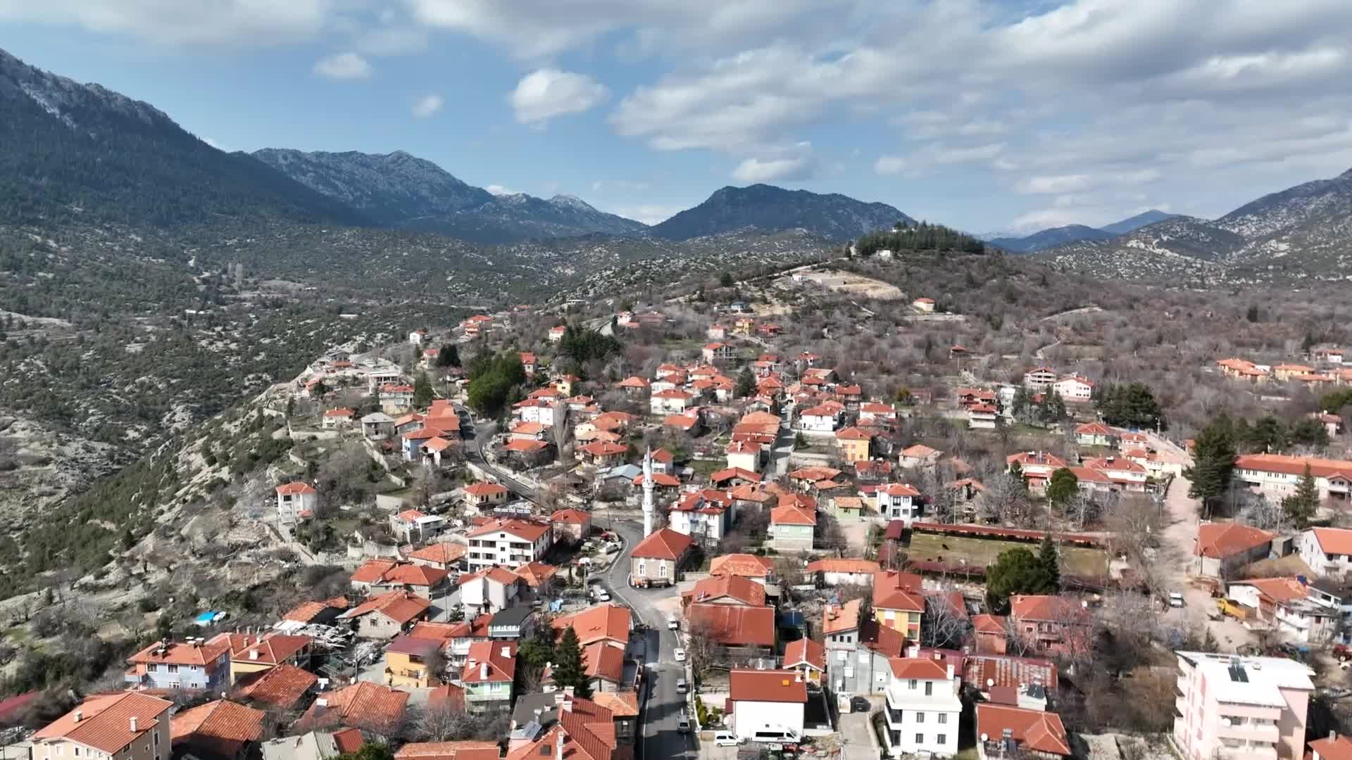 Antalya Büyükşehir Belediyesi, yılkı atları için doğaya saman balyası bıraktı