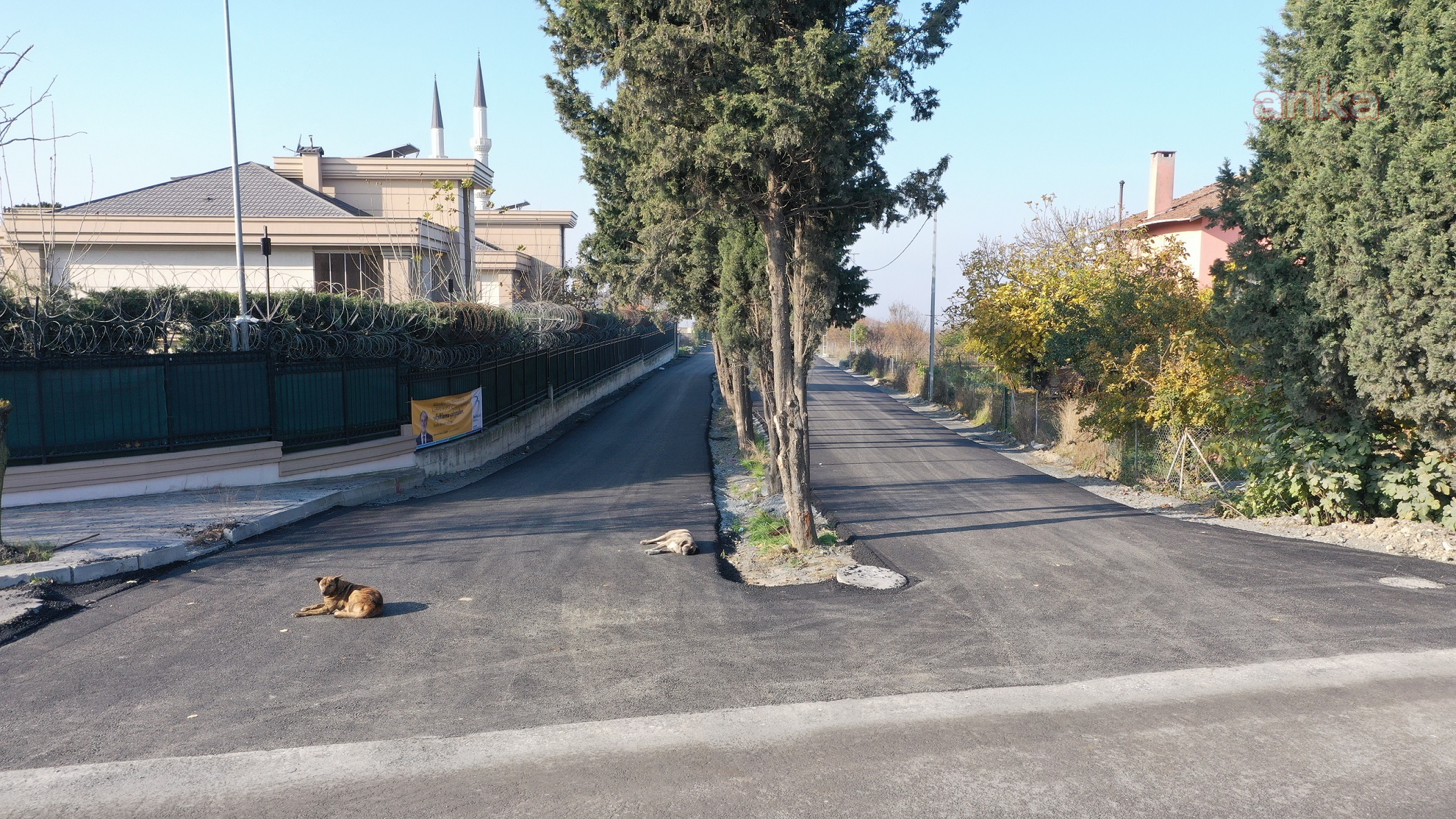 BEYLİKDÜZÜ'NDE YILIN SON ASFALT ÇALIŞMASI MODA CADDESİ’NDE YAPILDI