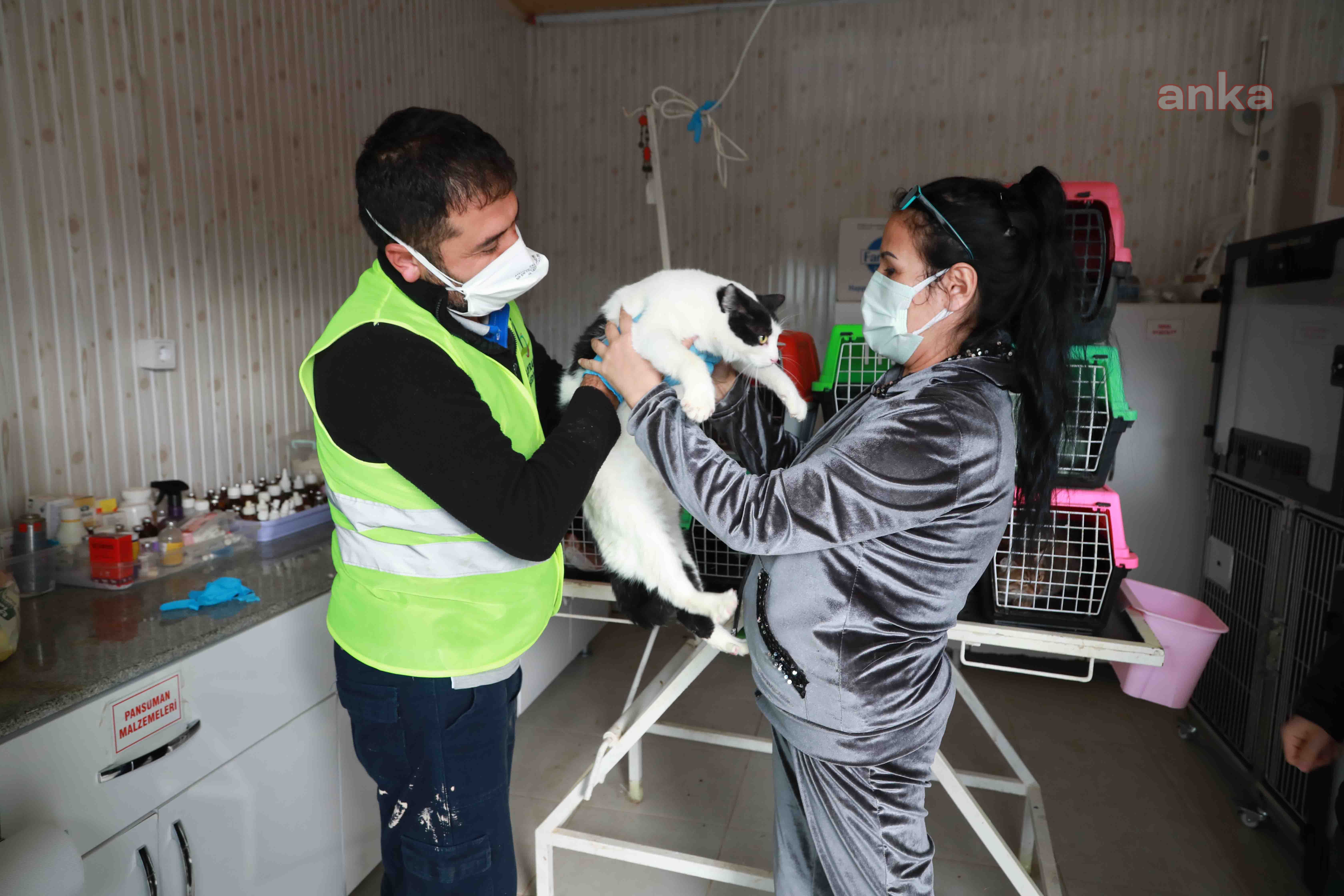 DEPREMZEDE KEDİLER, AHBAP'IN ÇİFTLİĞİNE EMANET