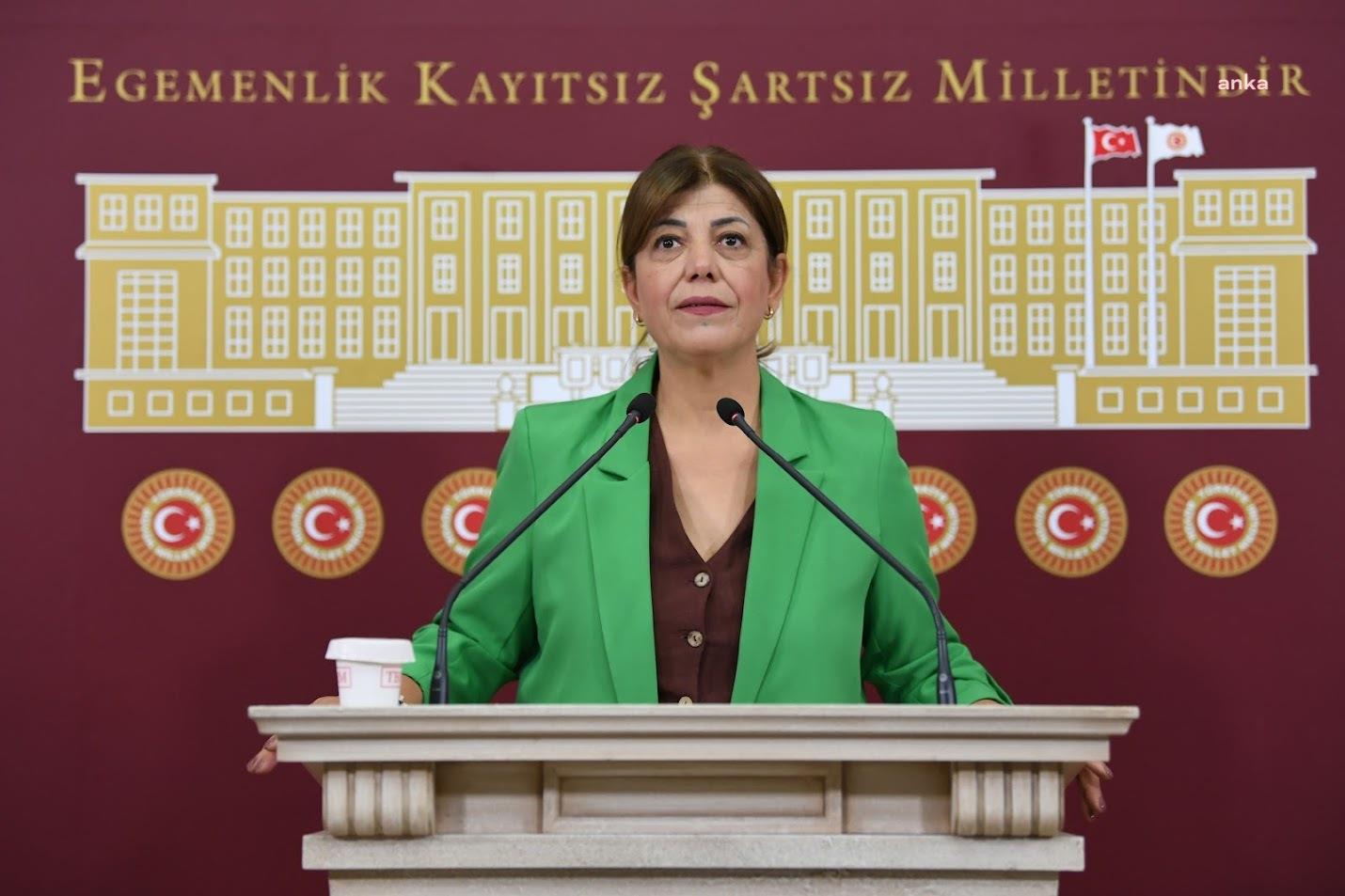 Ekrem İmamoğlu tutuklandı... Meral Danış Beştaş: "Muhalefeti susturma ve toplumu sindirme girişimi"
