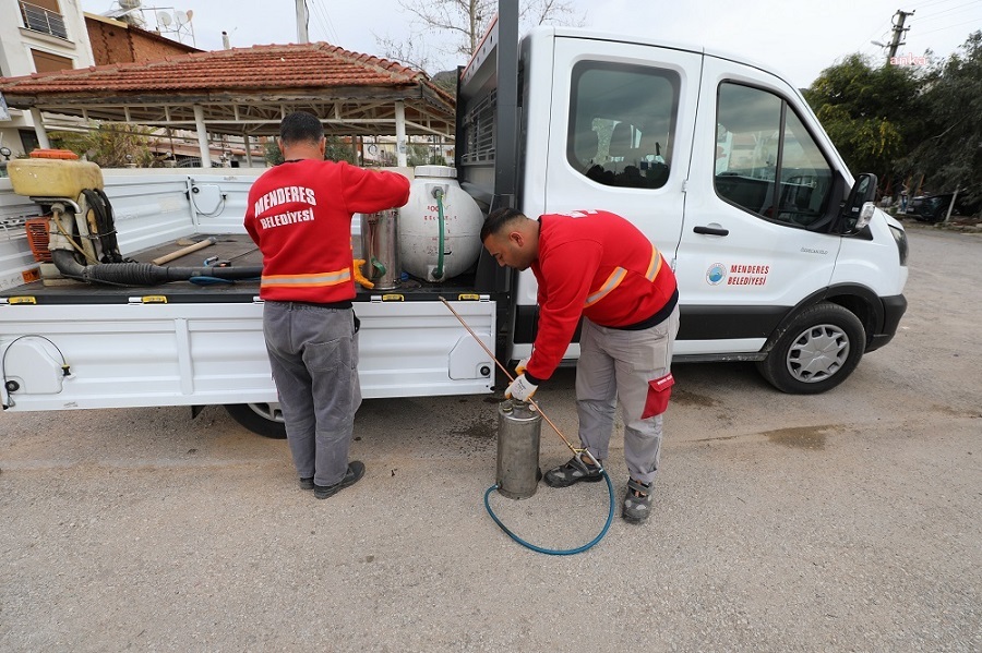 Menderes’te haşere ile mücadele başladı