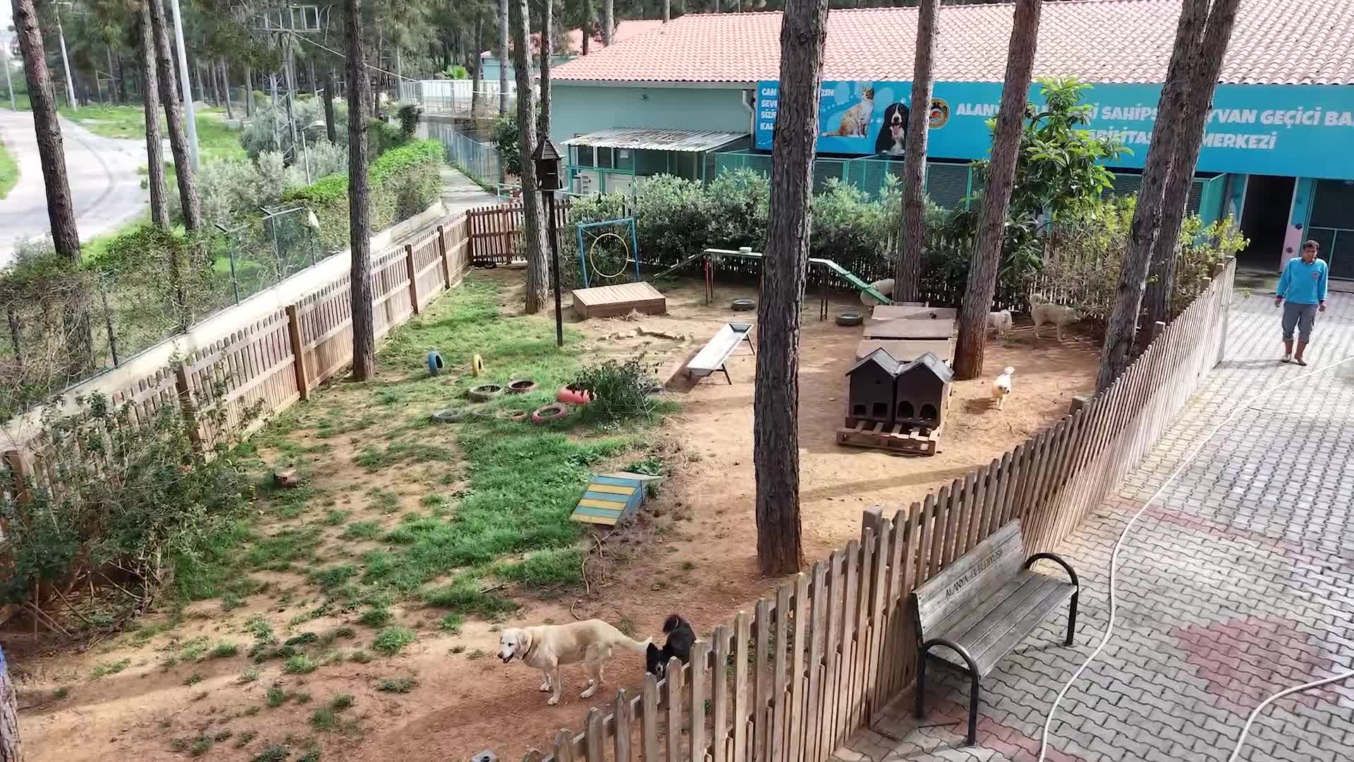 Alanya Belediye Başkanı Özçelik’ten Demirtaş Sahipsiz Hayvan Barınağı ve Geçici Bakımevi’nde inceleme