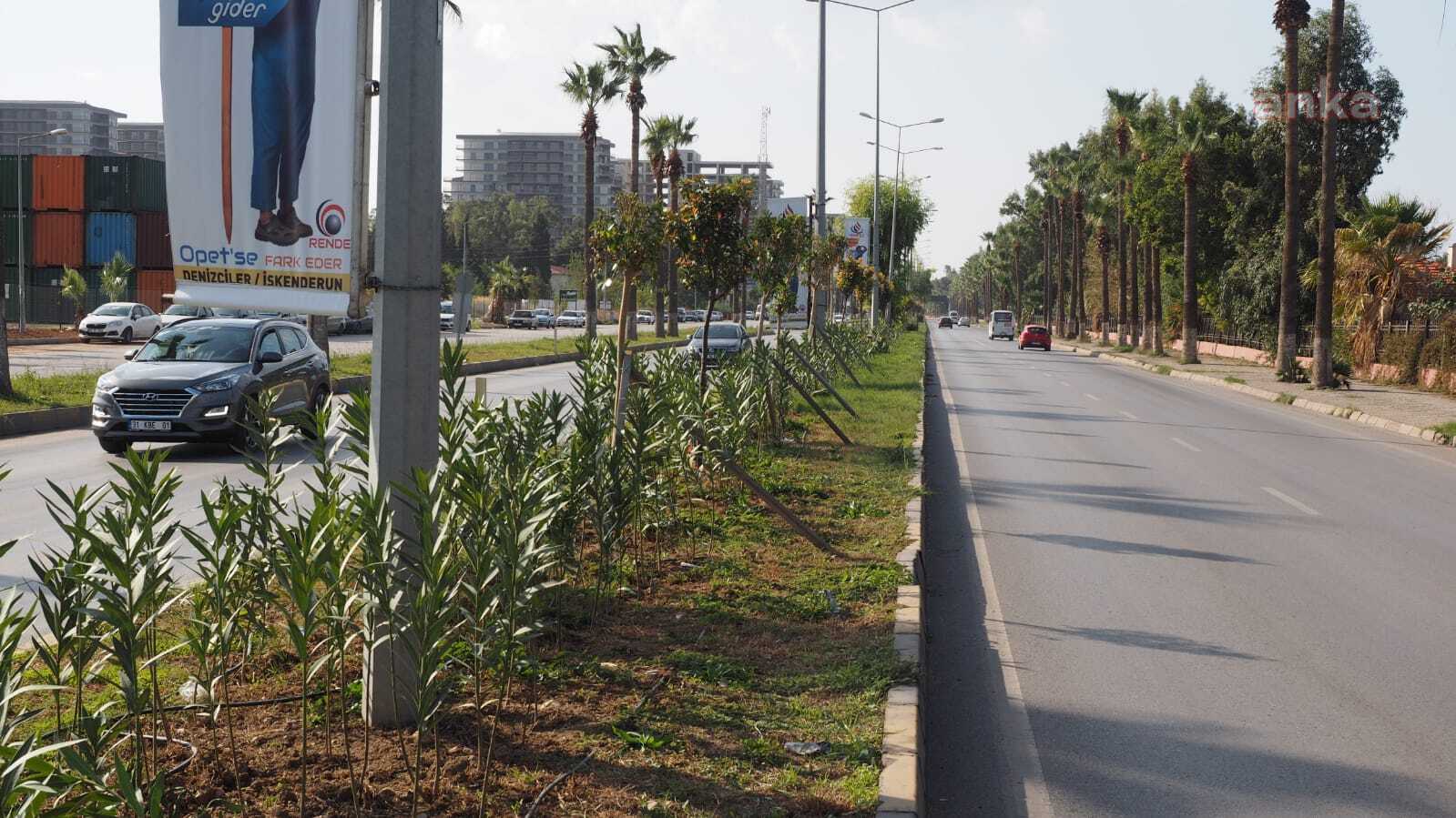 HATAY BÜYÜKŞEHİR'DEN ORTA REFÜJ VE KAVŞAKLARDA BİTKİLENDİRME ÇALIŞMASI