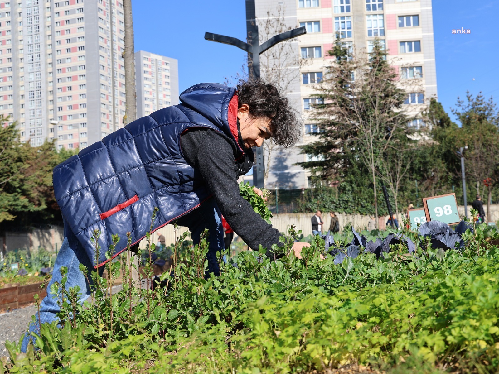 Ataşehir’de kent bostanları için başvurular başlıyor