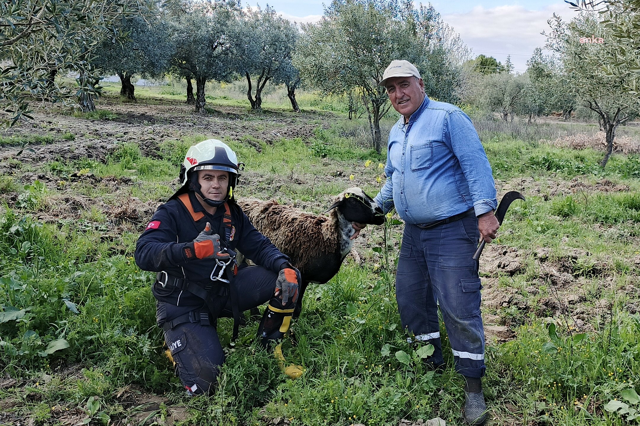 Manisa Büyükşehir Belediyesi İtfaiyesi, kuyuya düşen koyunu kurtardı