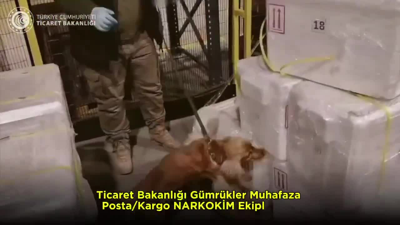 Ticaret Bakanlığı: İstanbul Havalimanı'nda 455 kilo kokain ele geçirildi