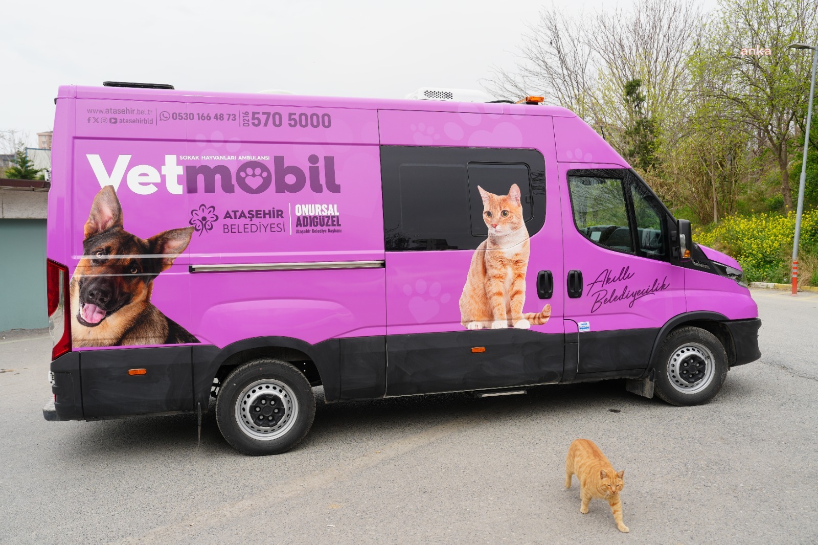 Vetmobil, Ataşehir'in mahallelerinde hizmette