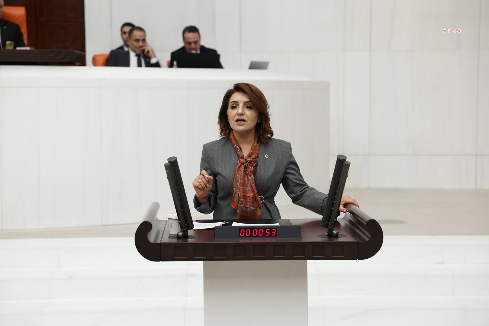 CHP’li Gülcan Kış, limon ihracatına getirilen yasağı eleştirdi:  “Bu yasak çürük”