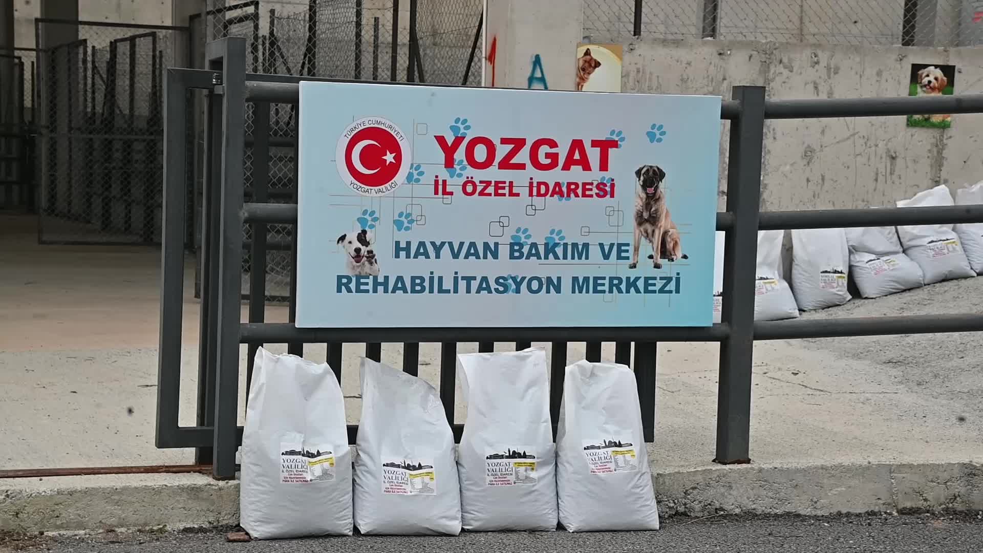 İçişleri Bakan Yardımcısı Mehmet Sağlam: “Sokak hayvanları sorununu Türkiye’nin gündeminden çıkarmak istiyoruz”