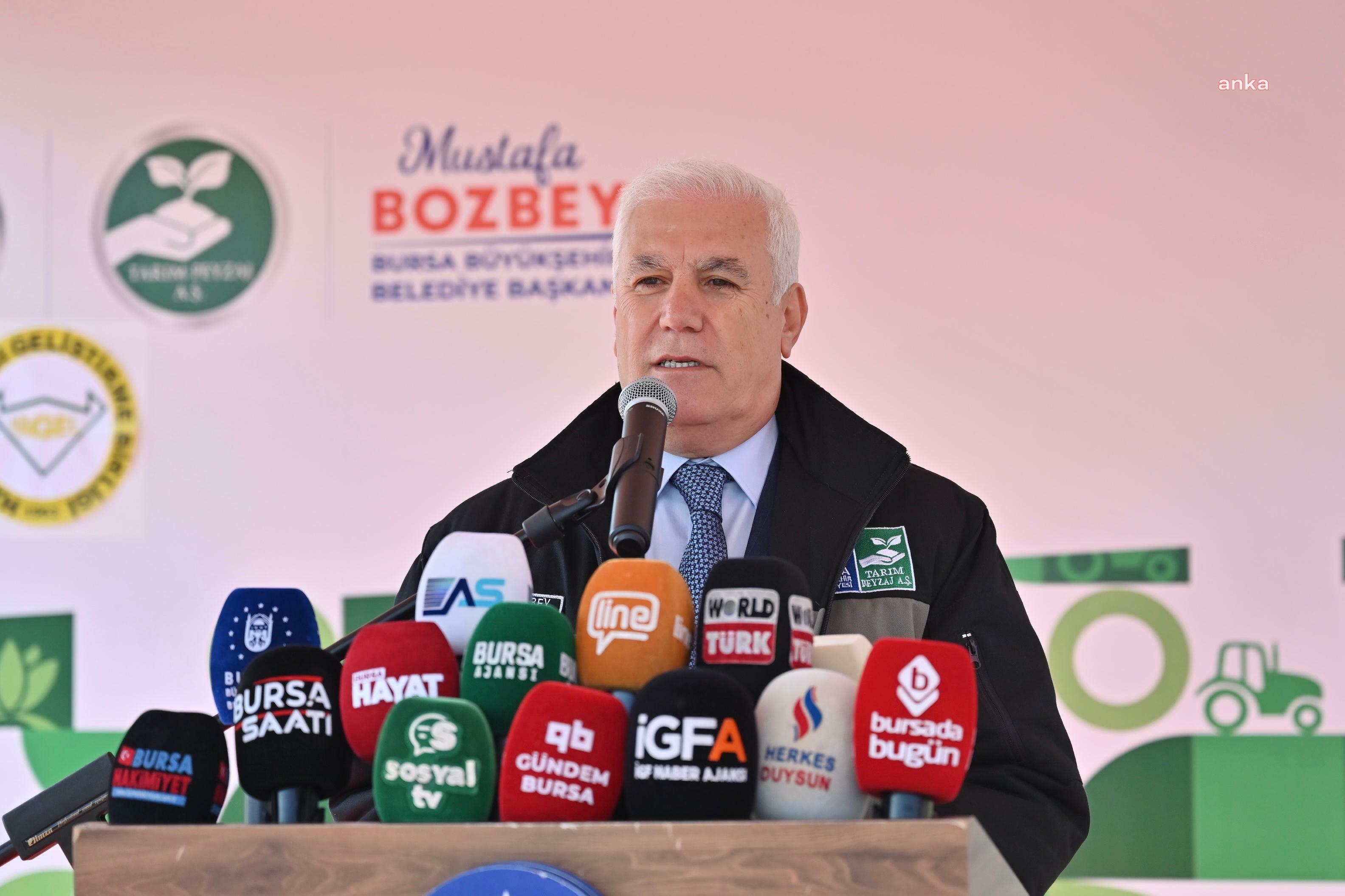 Bursa Büyükşehir Belediyesi'nden çiftçiye 1 milyon 222 bin adet çilek fidesi