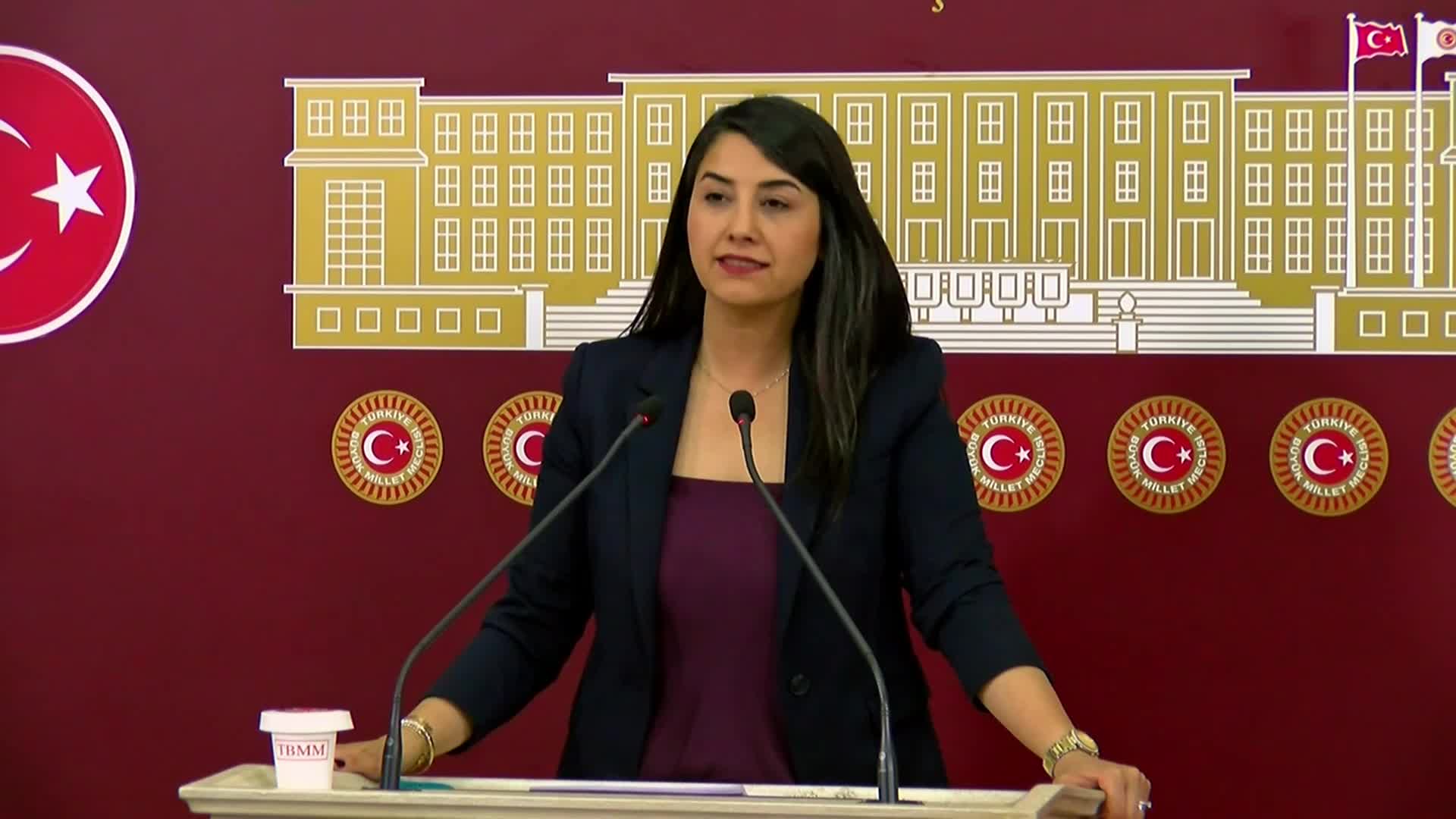 İnfaz Yasası'nda yapılması düşünülen değişiklik... DEM Partili Ayan: Tamamen eşitsiz, cezaları artıran, soyut gerekçelerle yeni cezalar üreten bir yargı paketinden bahsedebiliriz