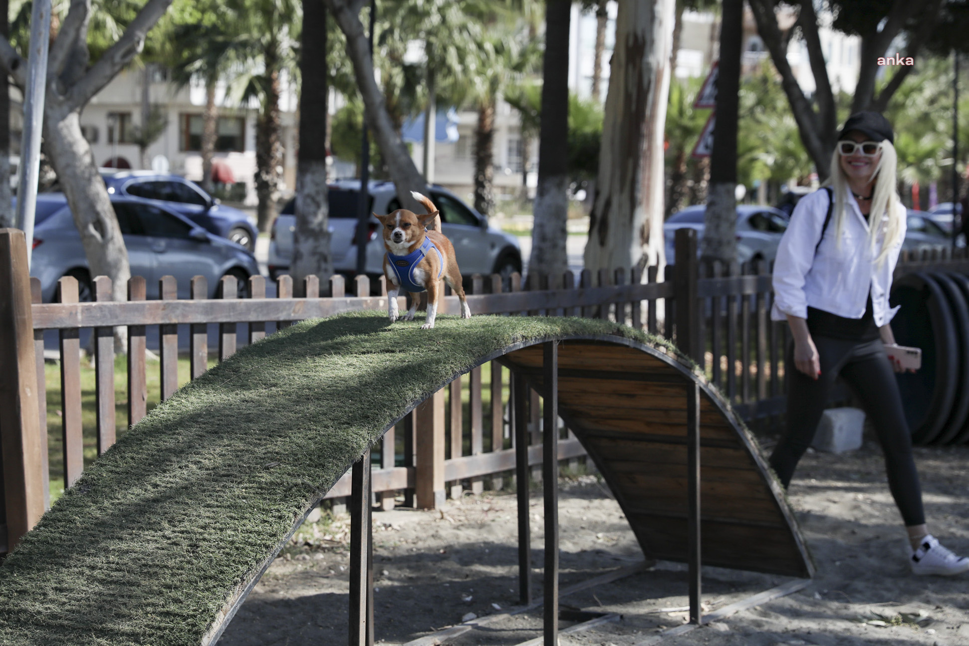 Mersin'de patili dostlar, köpek oyun alanında enerjilerini atıyor