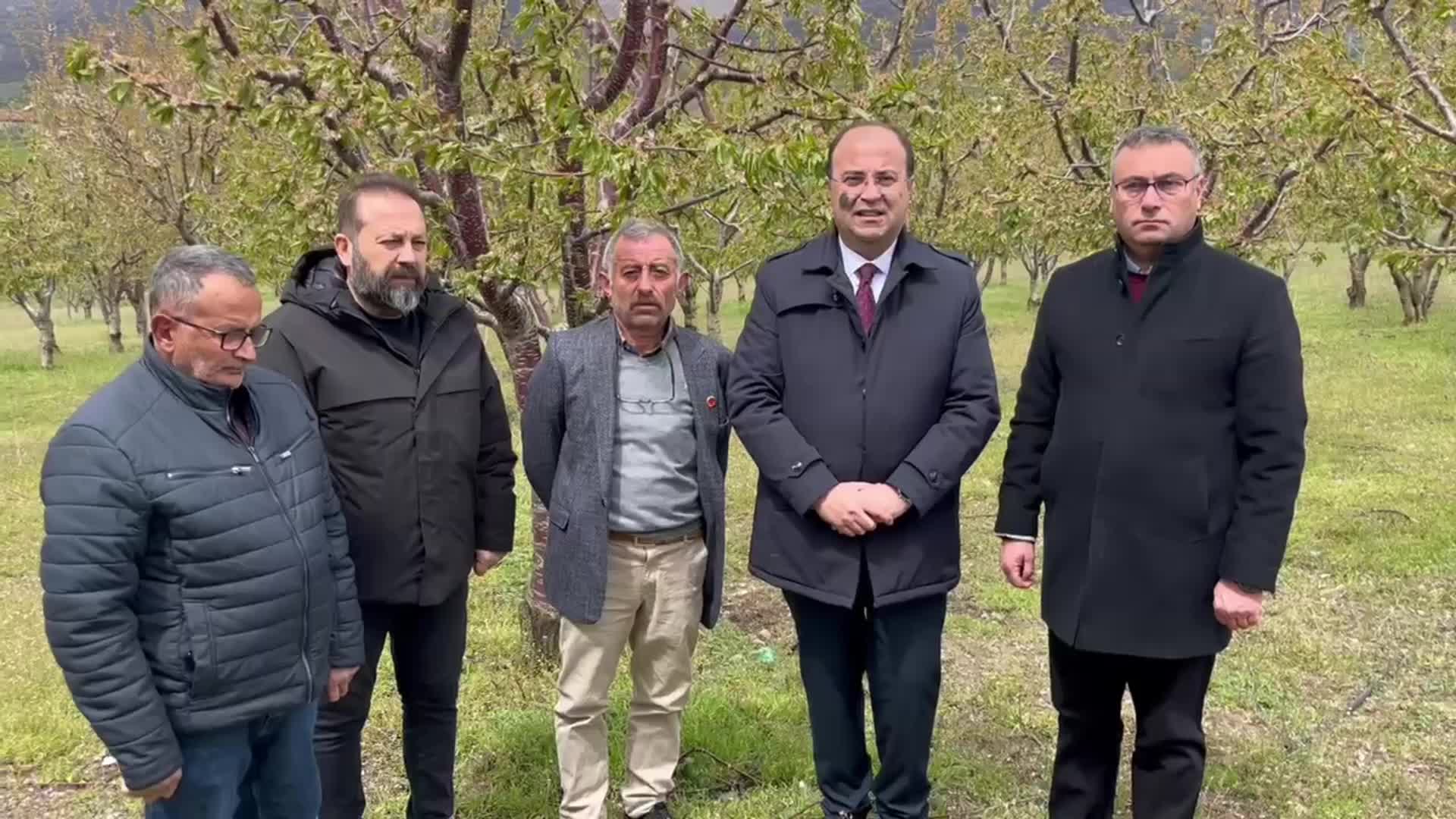 CHP Tokat İl Başkanı Çağdaş Kurtgöz, don olayı nedeniyle ürünleri zarar gören çiftçileri ziyaret etti