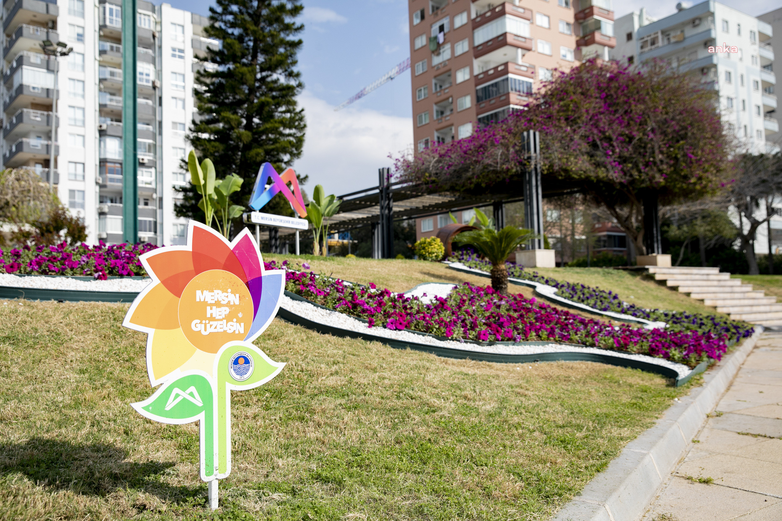 Mersin, baharı rengarenk çiçeklerle karşılıyor