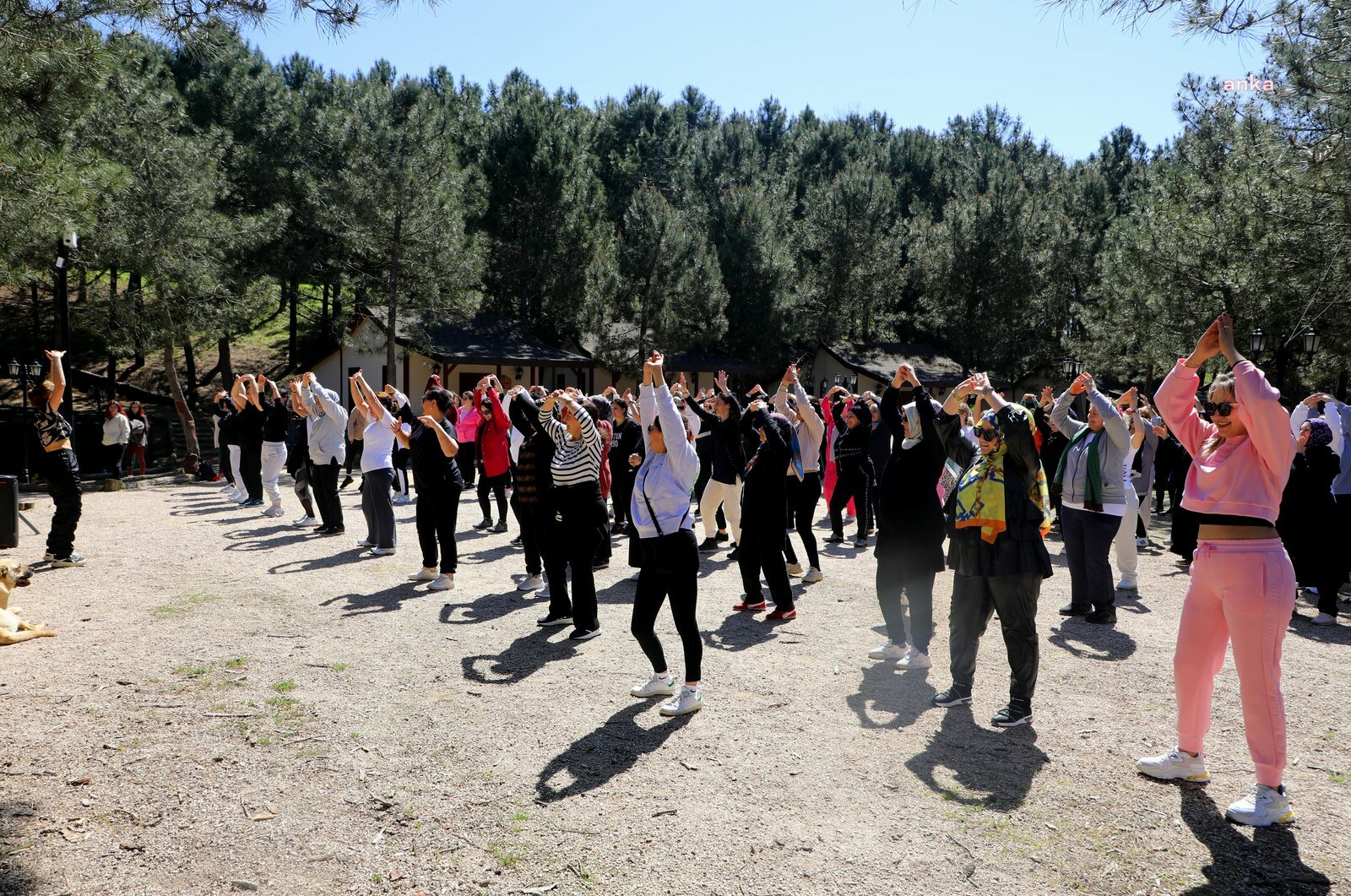 Eyüpsultanlı kadınlar doğada spor yaptı
