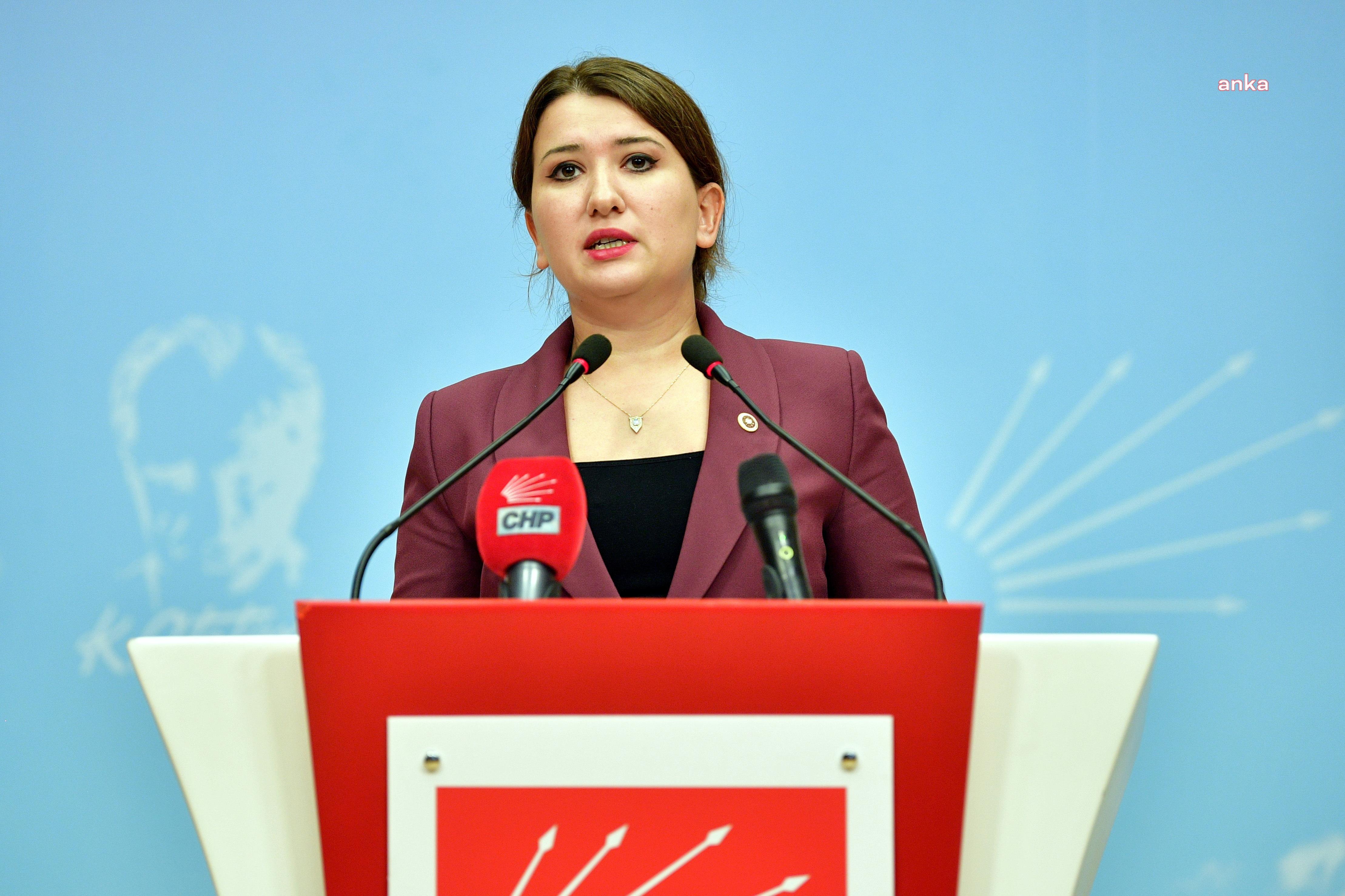 CHP'li Gökçen, İzmir'deki öğretmenin atamasının iptalini Meclis gündemine taşıdı