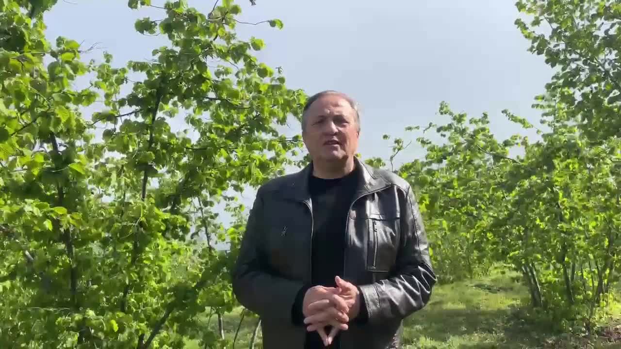 CHP’li Torun: “Zirai don sebebiyle randımanı düşen fındık serbest piyasada 175 Liraya satılırken, TMO piyasaya 125 liradan satış yaparak ülkemize ihanet ediyor”