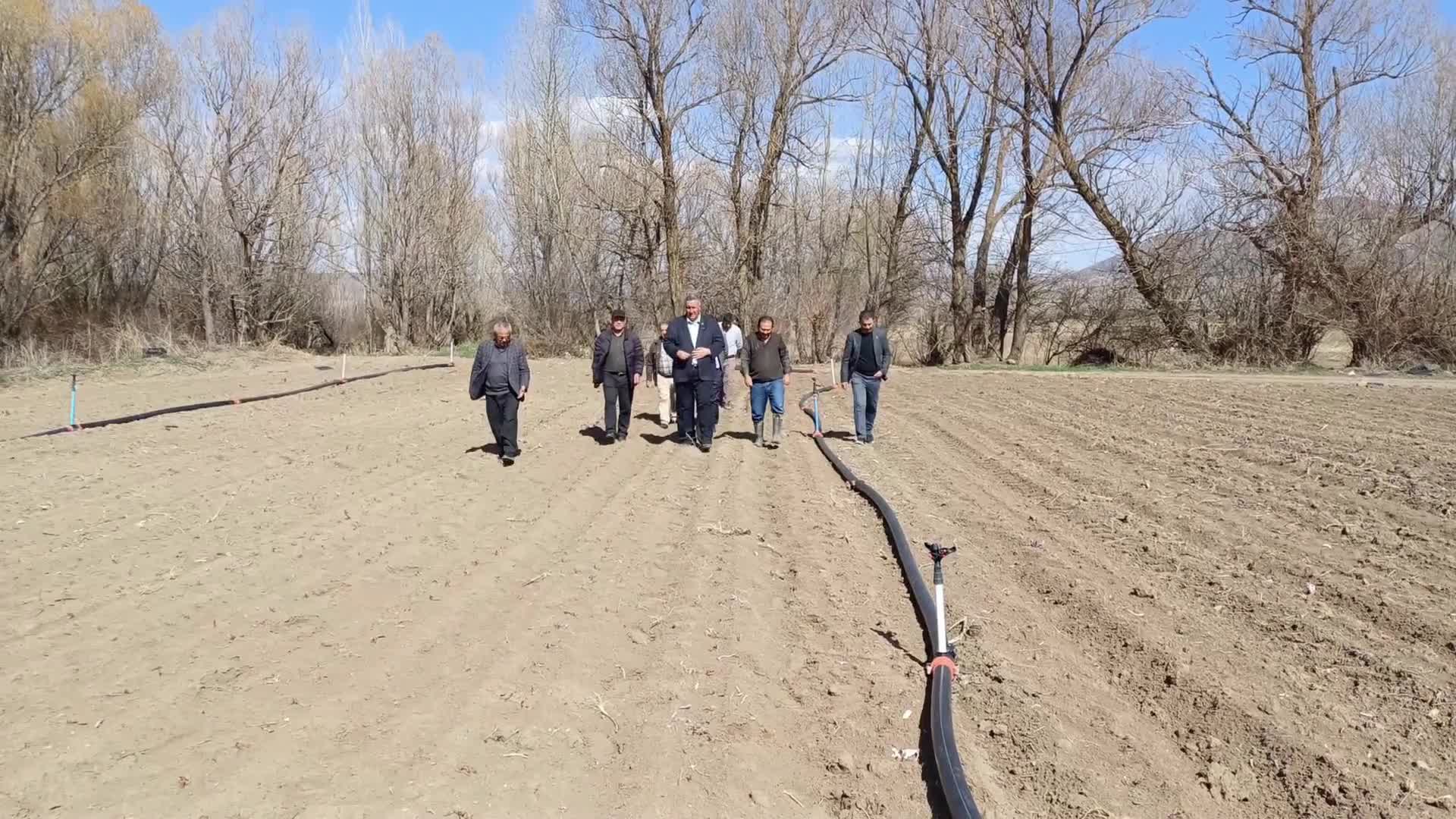 Niğde'de ürünleri zirai dondan zarar gören lahana üreticisi: "61 yaşındayım böyle zirai don görmedim"