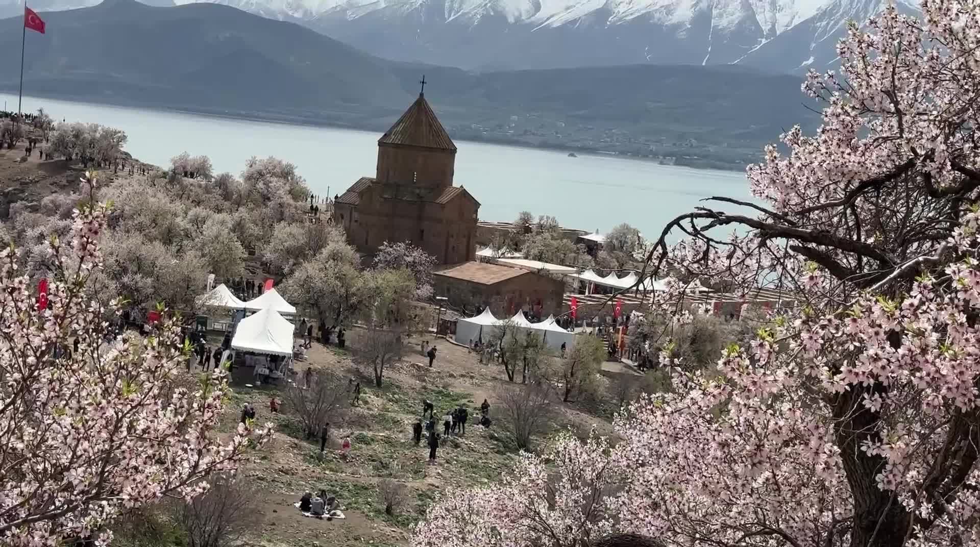 Van'da 'Badem Çiçeği Festivali' başladı