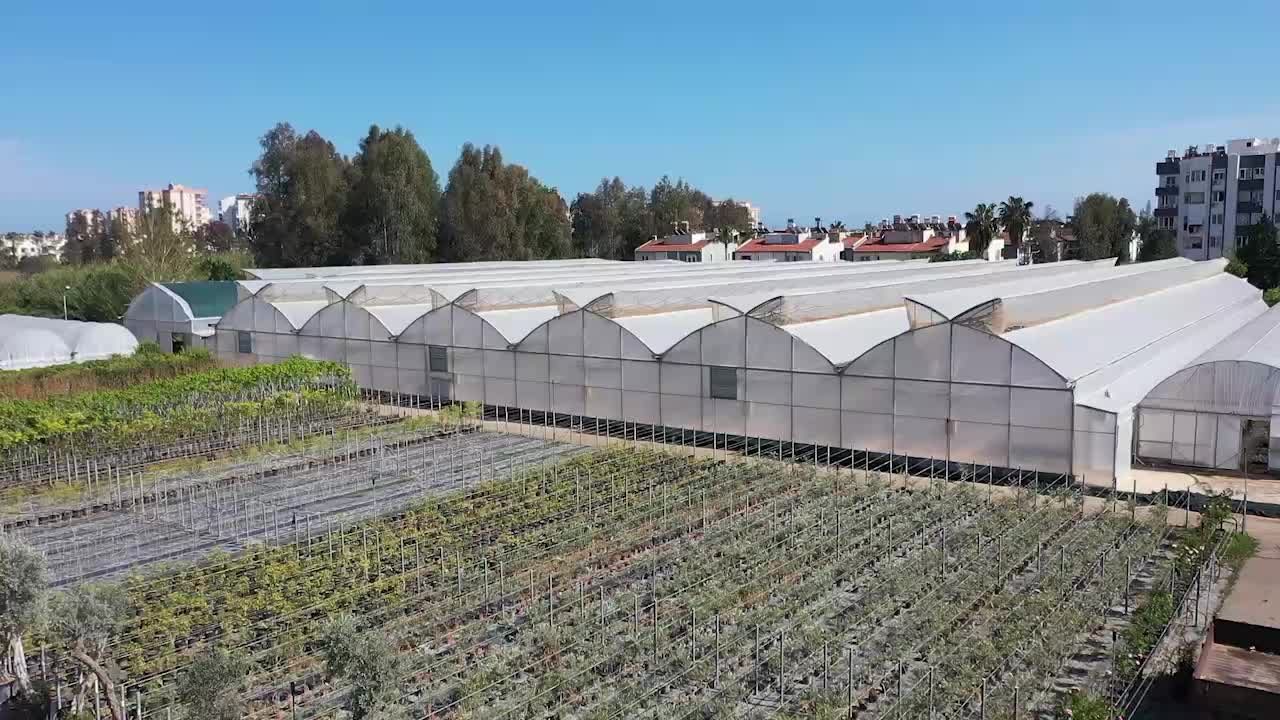 Muratpaşa Belediyesi'nin Çiçek Desenleri Günleri başlıyor