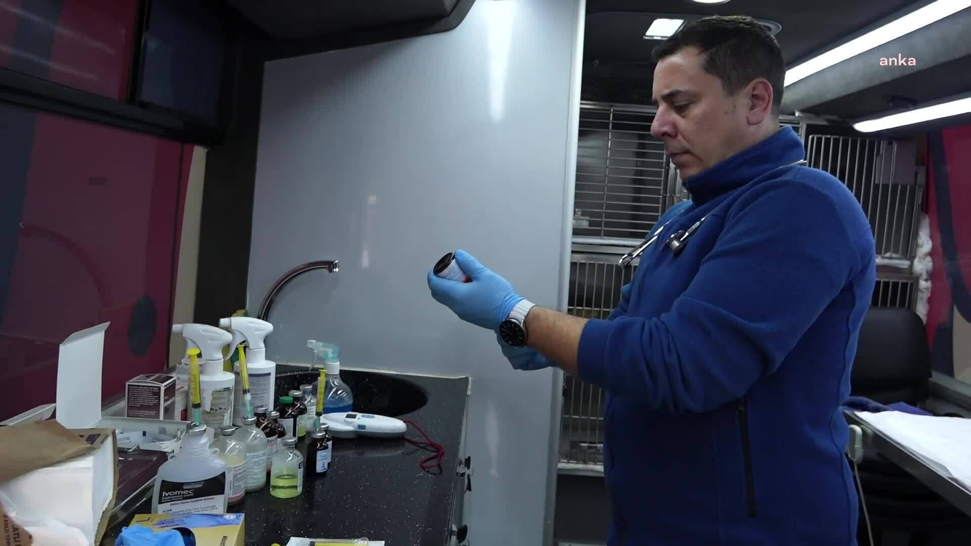 Balıkesir Büyükşehir Belediyesi’nin mobil hayvan bakım ve tedavi aracı “Can Dost”, ilçe ilçe geziyor