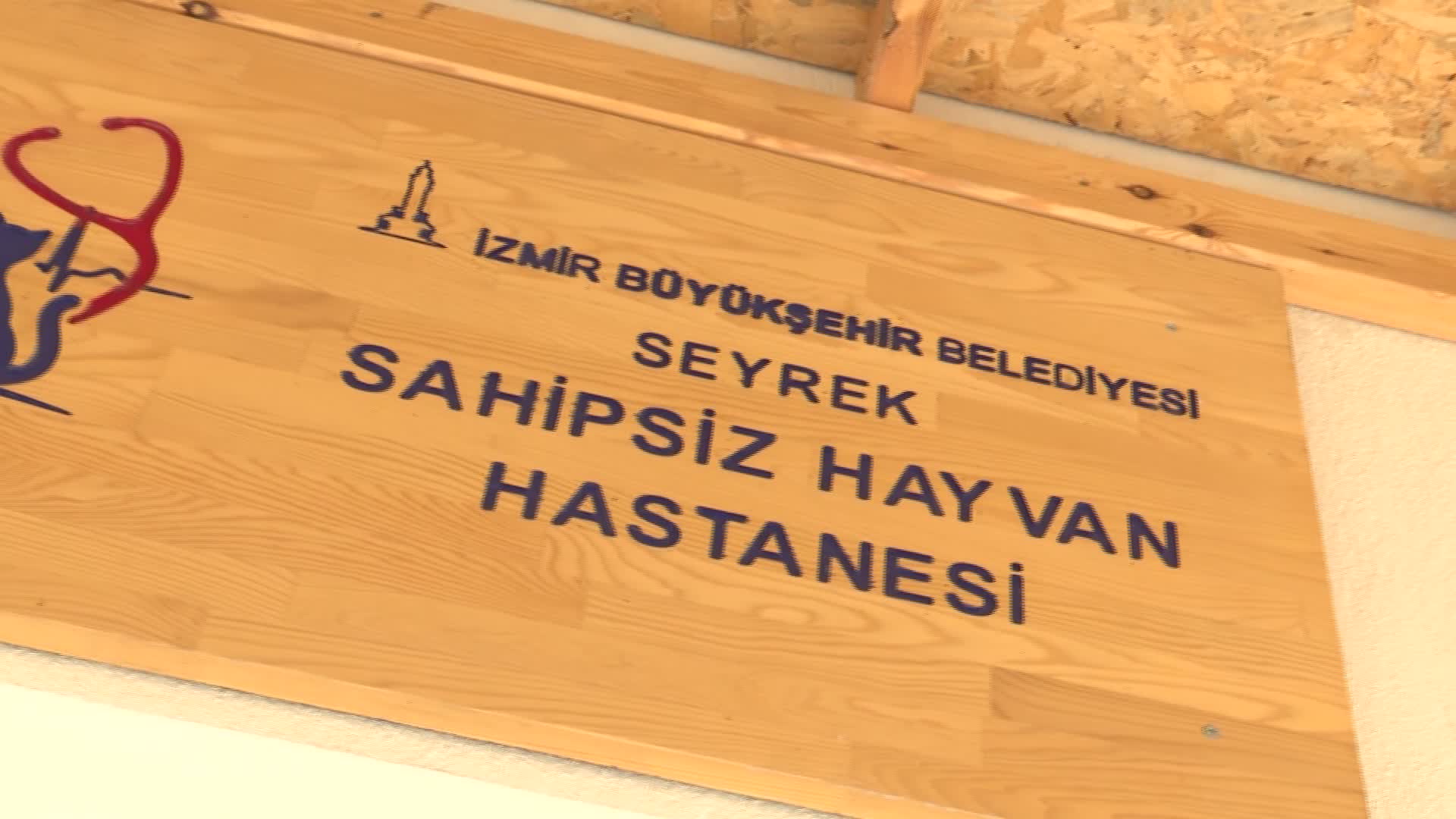 İzmirli veteriner hekimlerden ‘barınak’ çağrısı: “Barınaklarda kalbinizi çalacak canlar var”