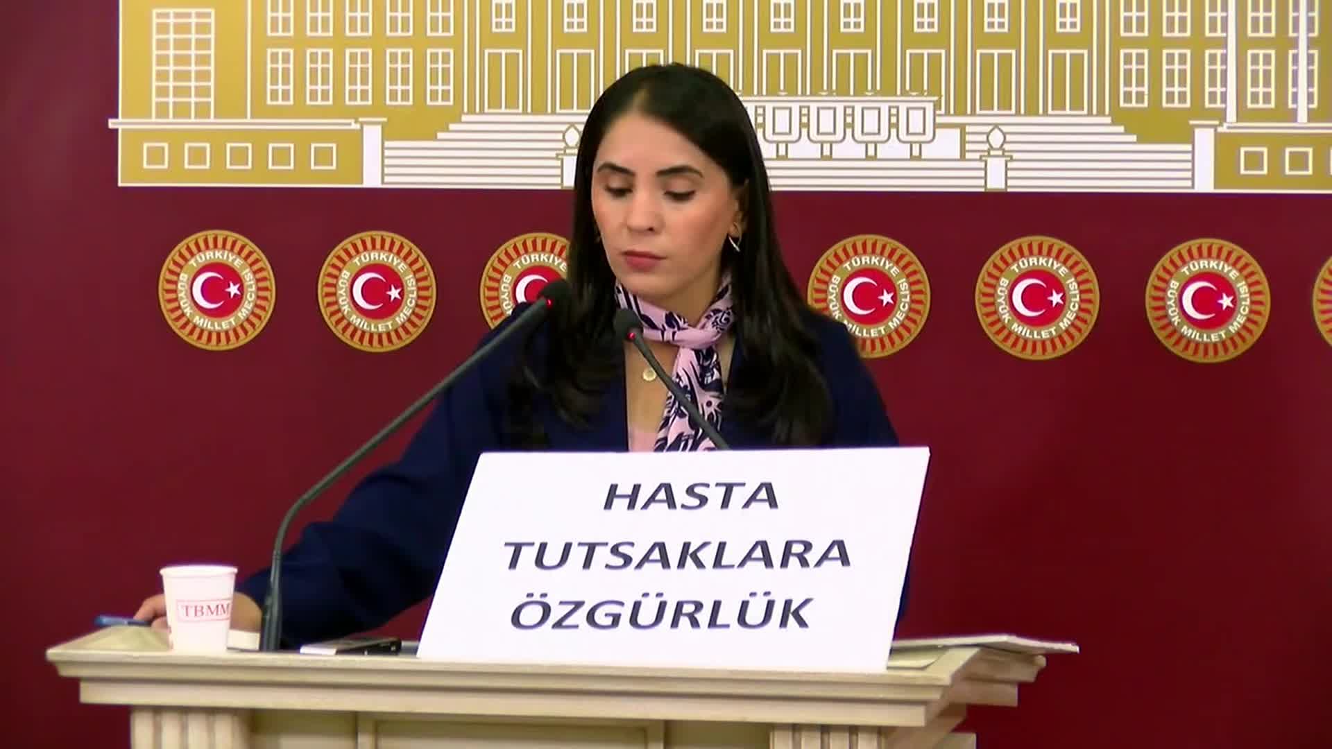 DEM Partili Nevroz Uysal: "Hasta mahpuslar sağlık hakkına erişemiyor, arama adı altında çıplak arama, kelepçeli muayene dayatması yapılıyor"