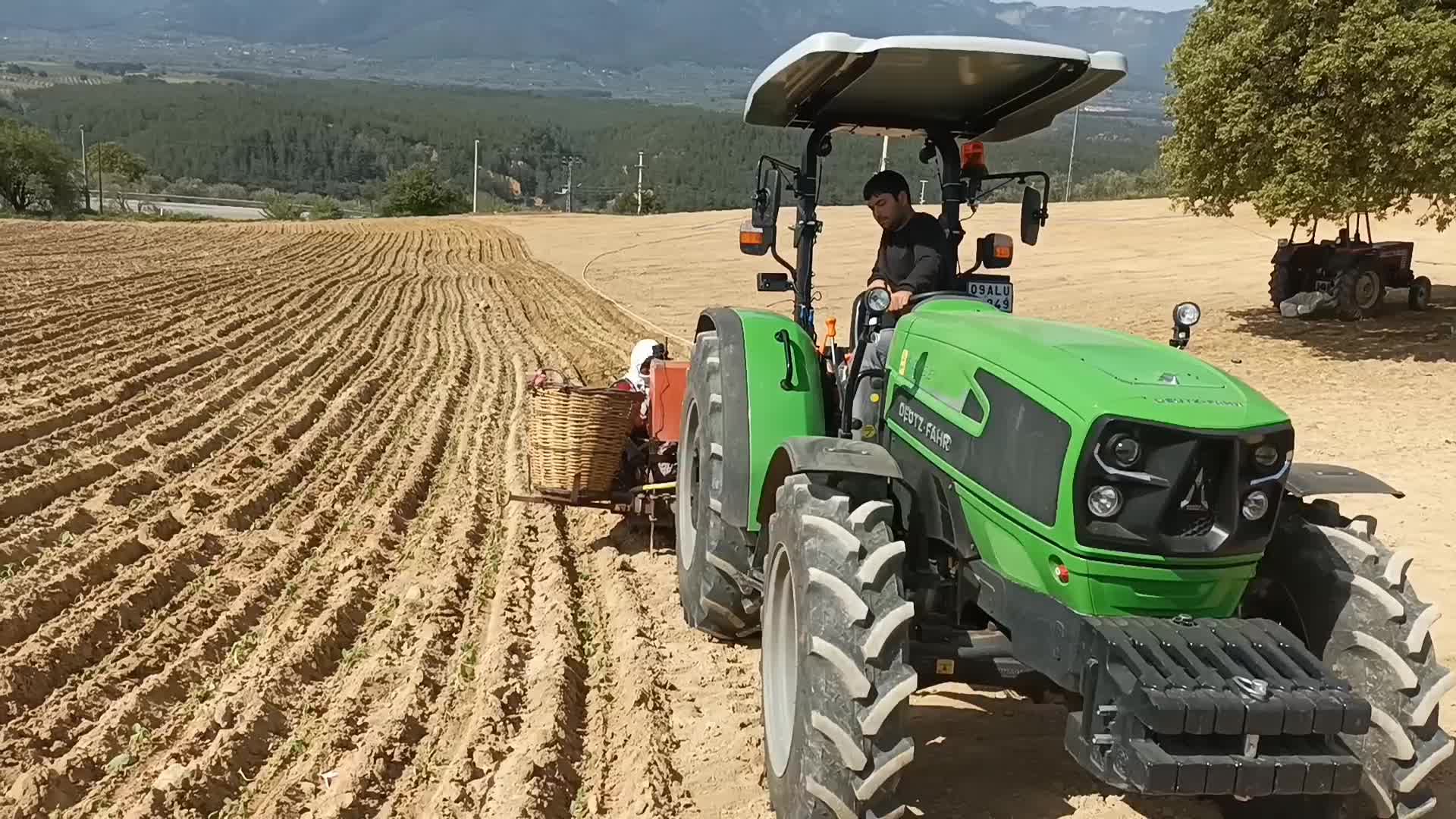 Aydınlı tütün üreticisi: "Yarı yarıyı azalttım dikimi, bir de avanslar kesilince şimdi tamamen borca soktular bizi''