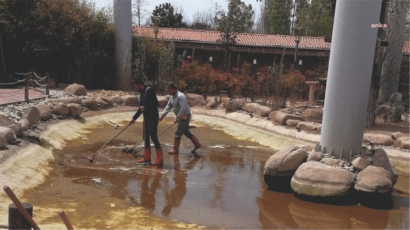 Kırşehir Belediyesi,  Güzler Evcil Hayvanlar Parkı’nda yaşayan hayvanların kontrollerini günlük olarak yapıyor