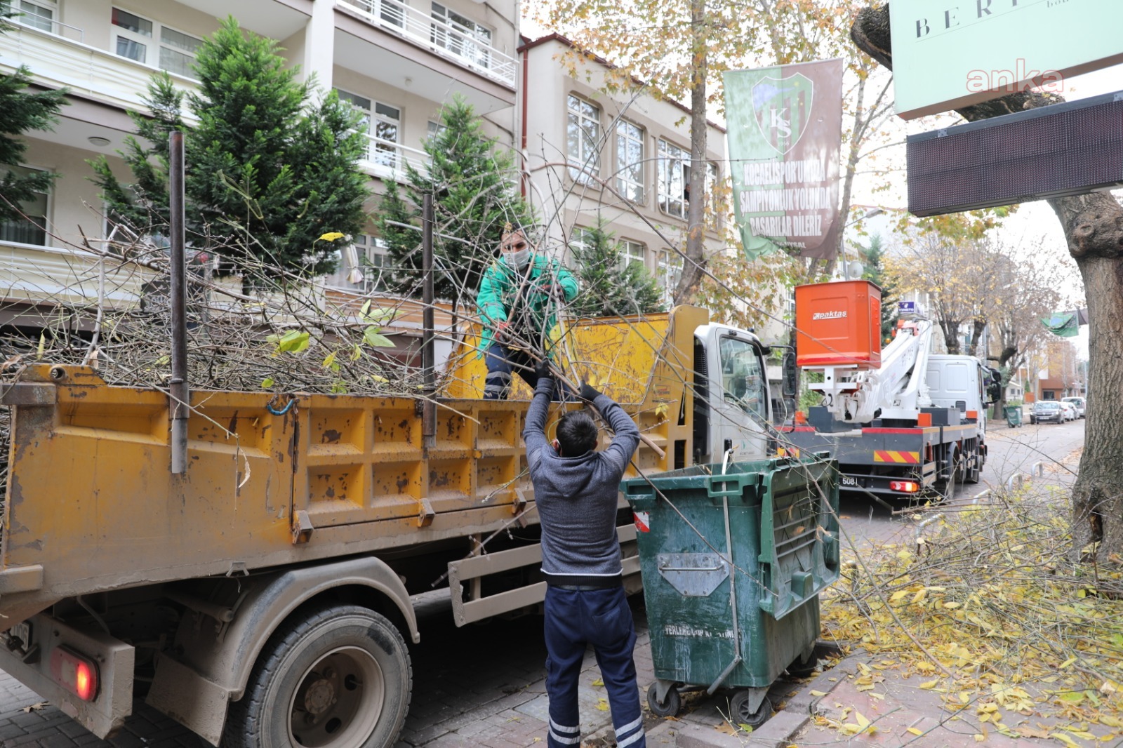 İZMİT'TE BUDAMA ÇALIŞMALARI HAFTA SONU DA DEVAM EDİYOR