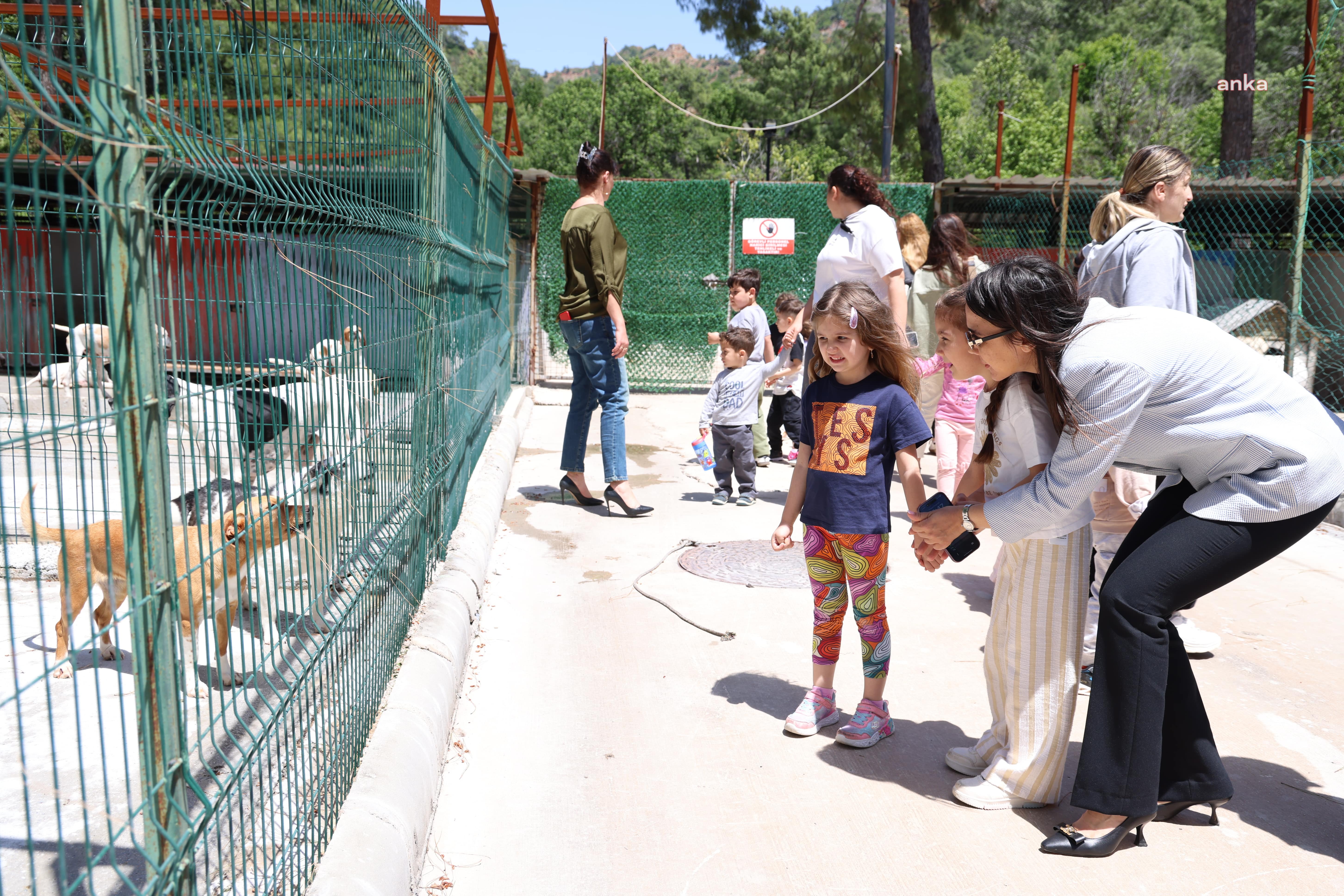 Marmaris Belediyesi Geçici Hayvan Bakımevi, minik ziyaretçileri ağırladı